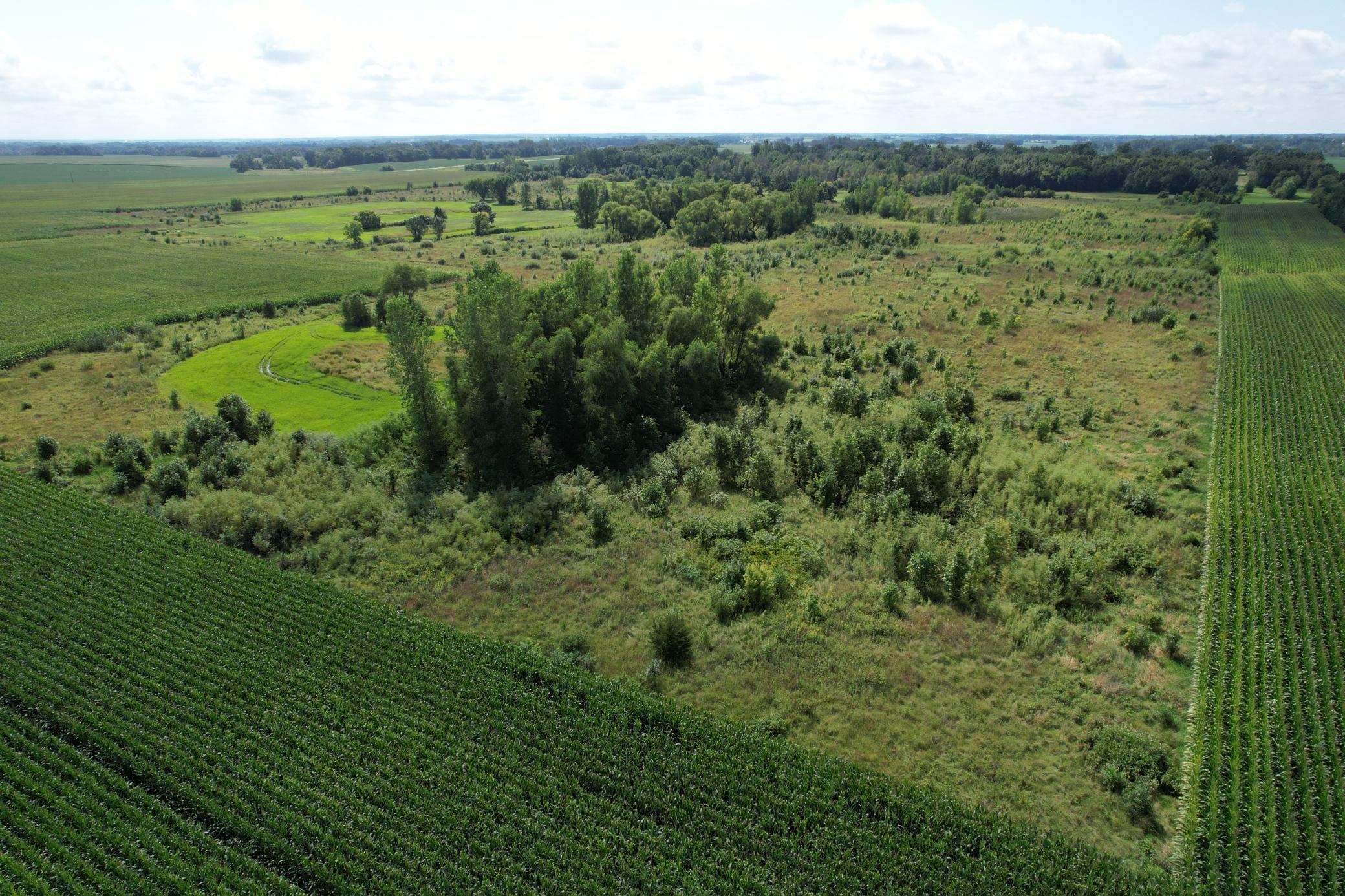 View of Land at 10xxx County Road 50, Cologne MN 55322, Cologne (24 of 30) - Mike Wilen | Minnesota Team Real Estate