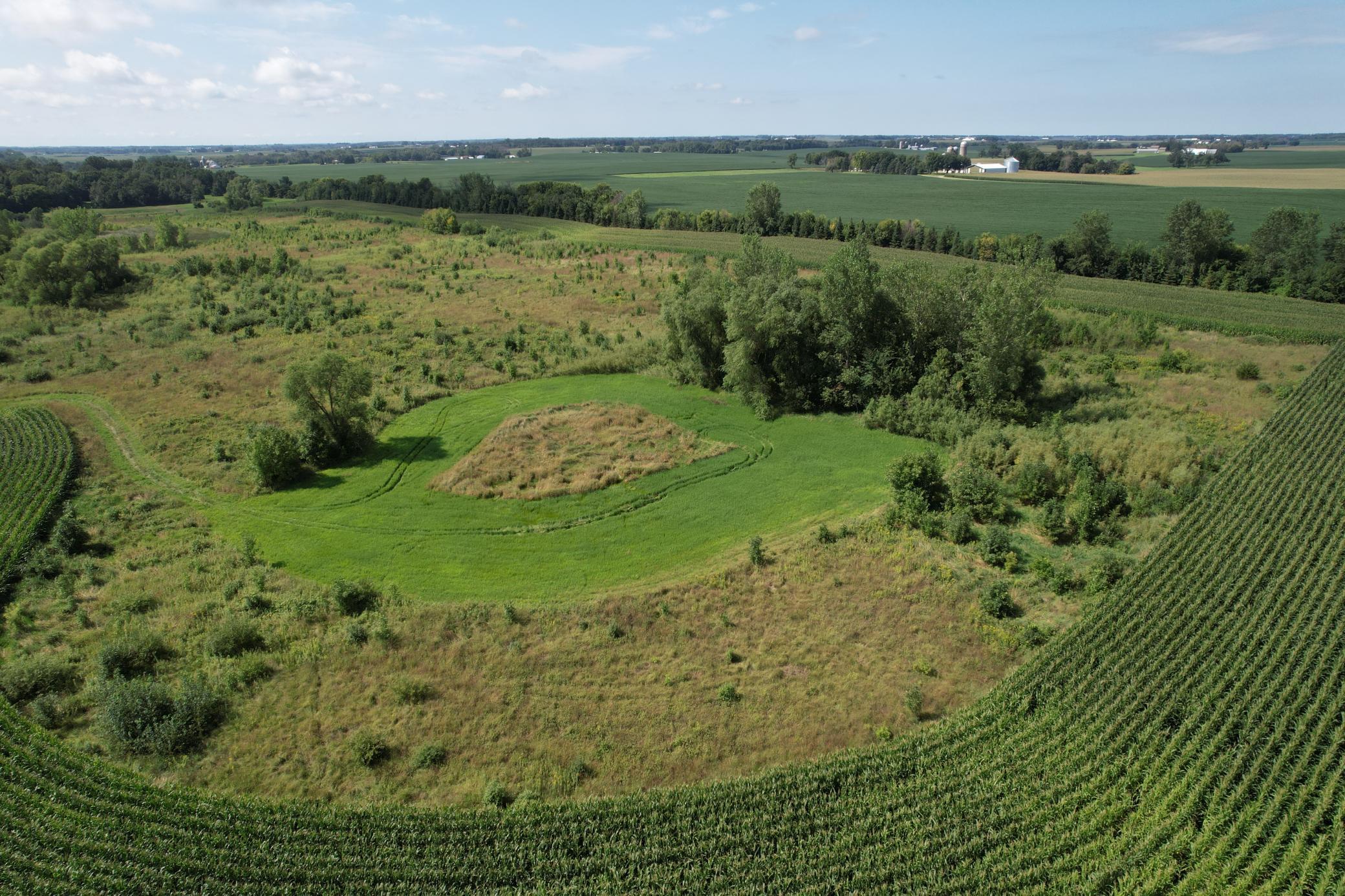 View of Land at 10xxx County Road 50, Cologne MN 55322, Cologne (23 of 30) - Mike Wilen | Minnesota Team Real Estate
