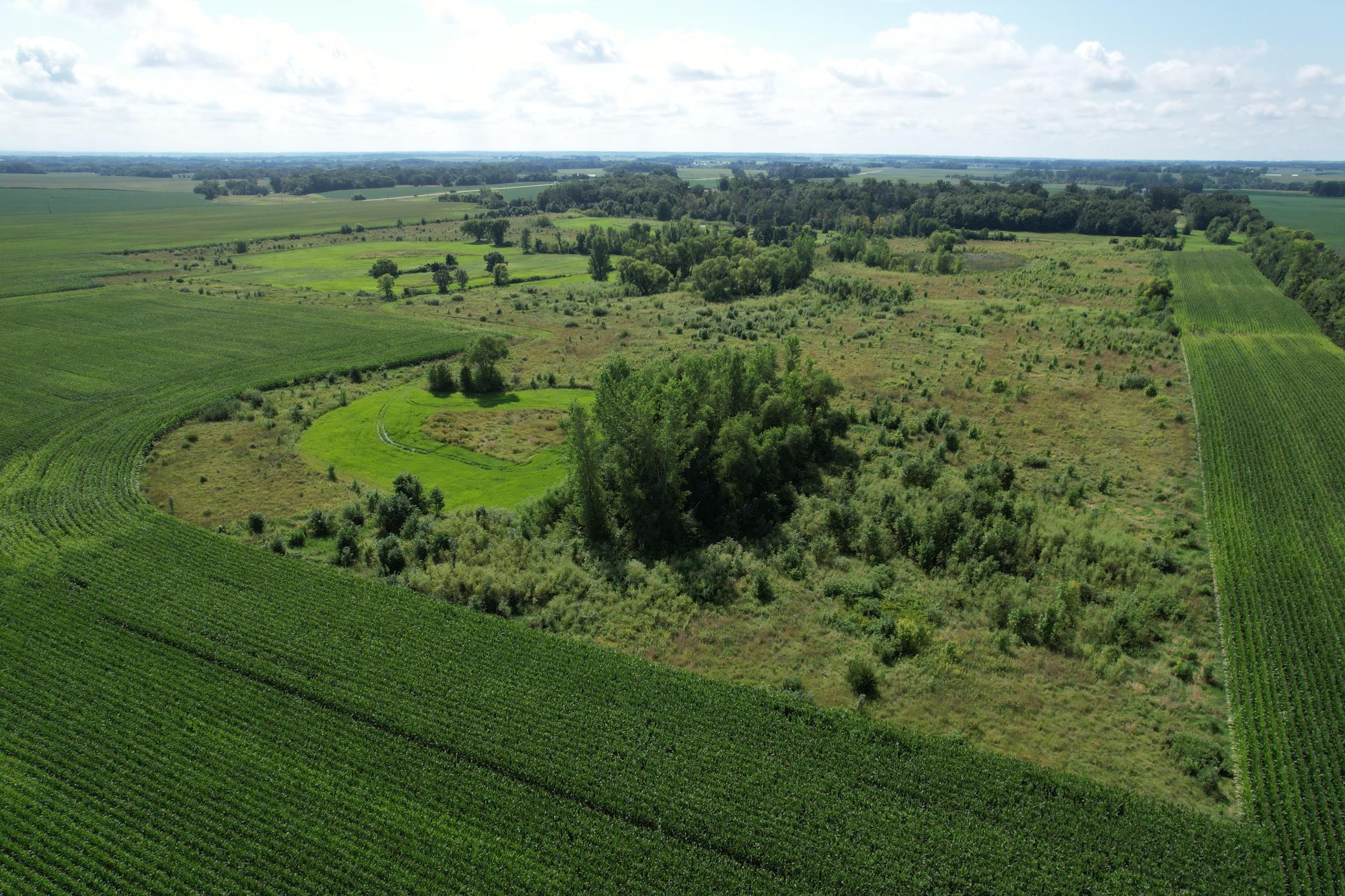 View of Land at 10xxx County Road 50, Cologne MN 55322, Cologne (22 of 30) - Mike Wilen | Minnesota Team Real Estate