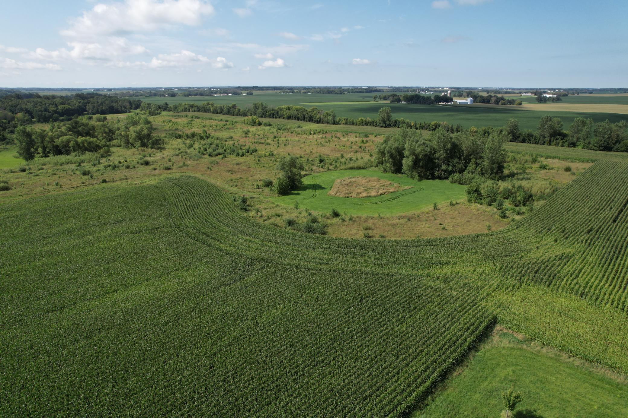 View of Land at 10xxx County Road 50, Cologne MN 55322, Cologne (21 of 30) - Mike Wilen | Minnesota Team Real Estate
