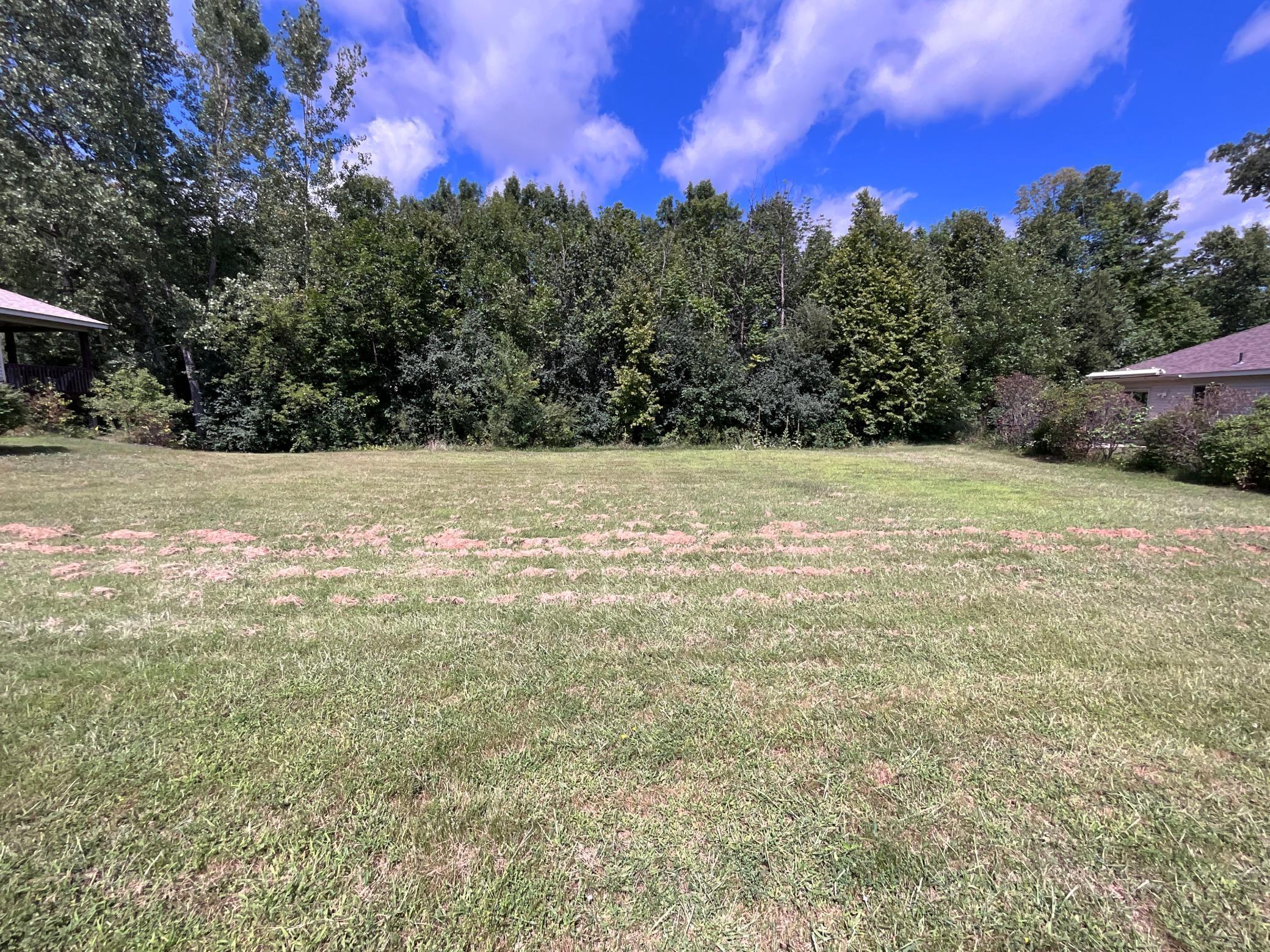 View of Land at 1703 Dale Street, Saint Joseph MN 56374, Saint Joseph - Mike Wilen | Minnesota Team Real Estate