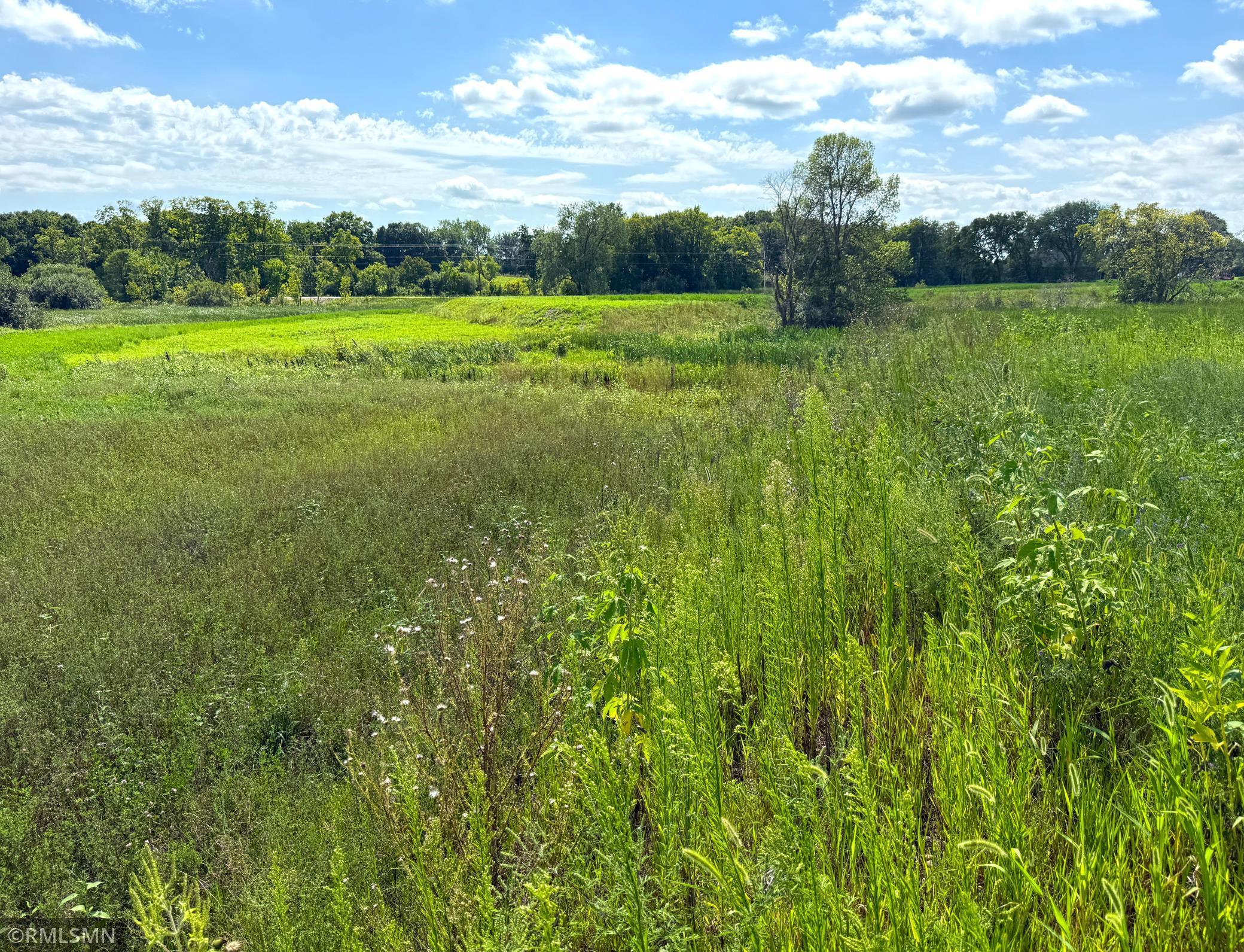 View of Land at 7581 Lake John Drive, Annandale MN 55302, Annandale (12 of 22) - Mike Wilen | Minnesota Team Real Estate