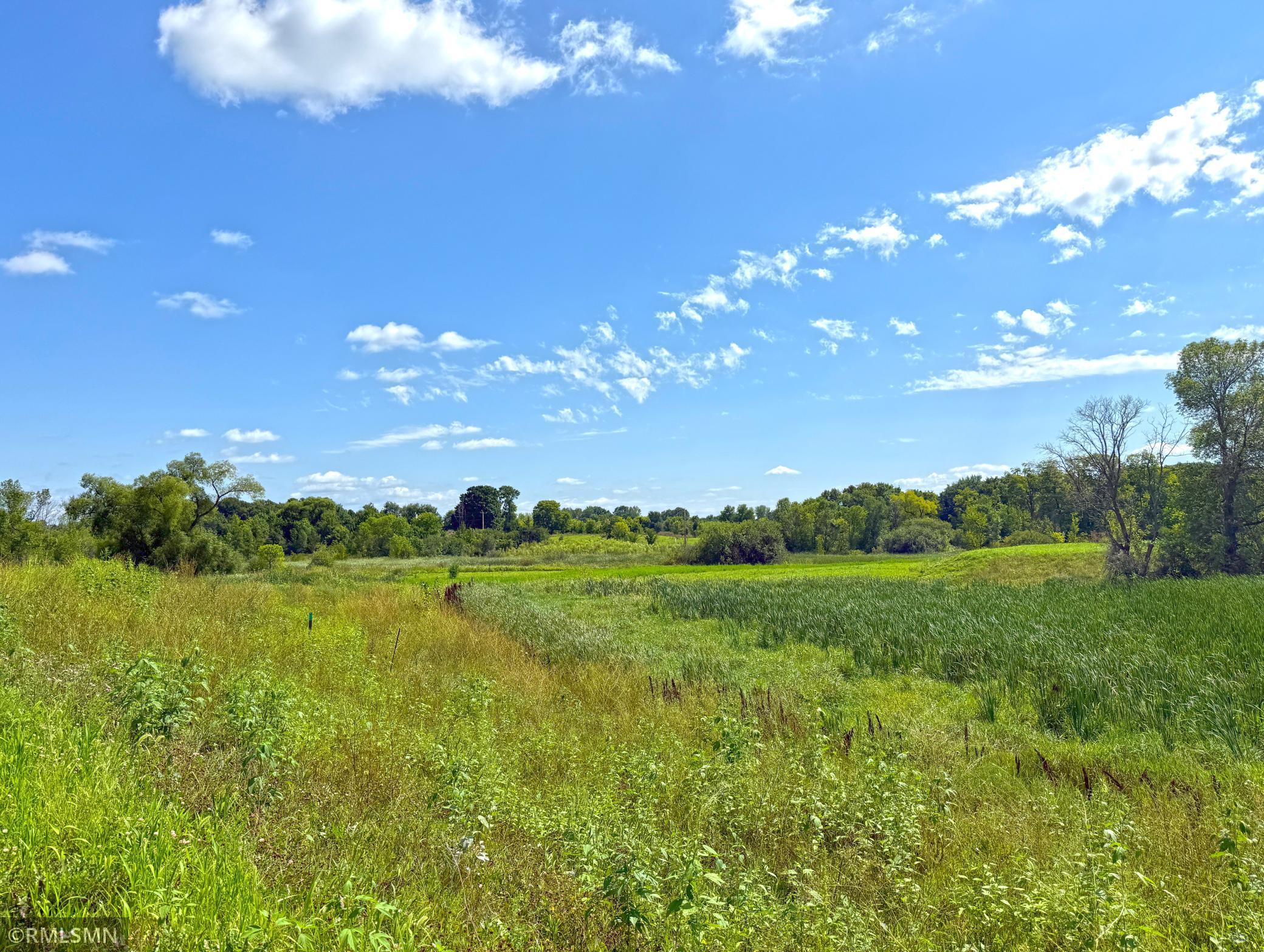 View of Land at 7581 Lake John Drive, Annandale MN 55302, Annandale (11 of 22) - Mike Wilen | Minnesota Team Real Estate