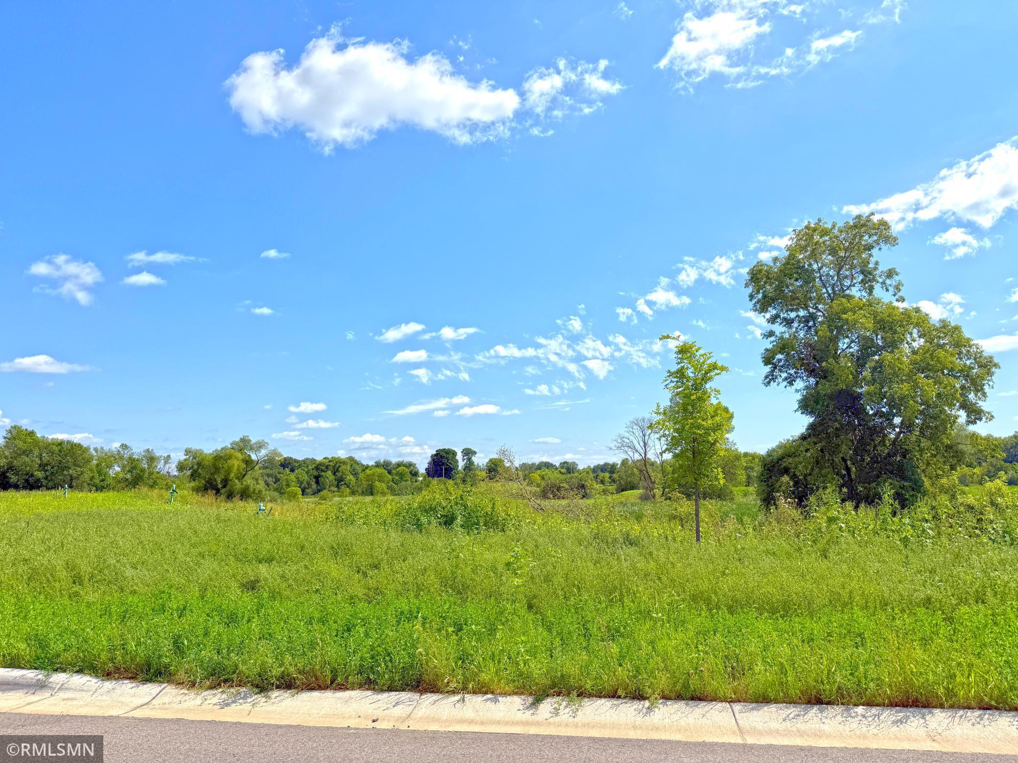 View of Land at 7581 Lake John Drive, Annandale MN 55302, Annandale (8 of 22) - Mike Wilen | Minnesota Team Real Estate