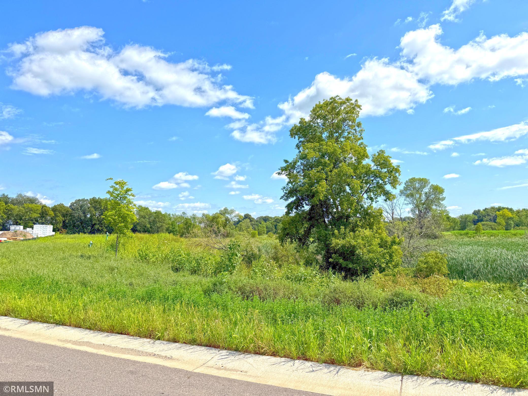 View of Land at 7581 Lake John Drive, Annandale MN 55302, Annandale (16 of 22) - Mike Wilen | Minnesota Team Real Estate