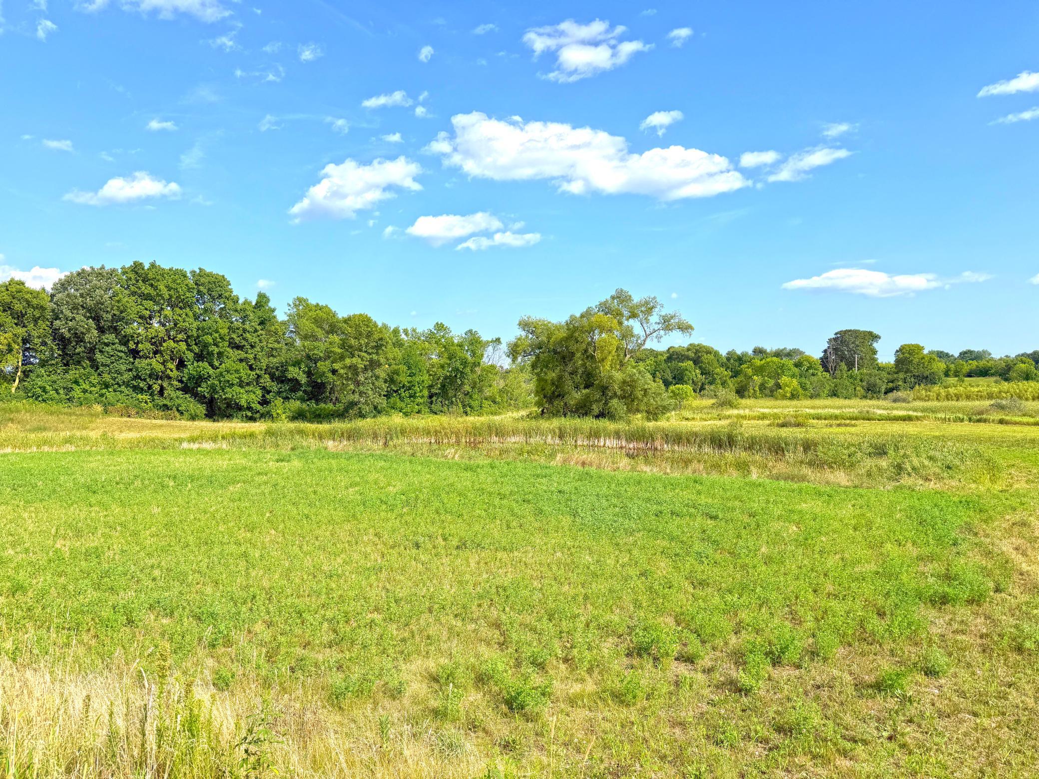 View of Land at 7581 Lake John Drive, Annandale MN 55302, Annandale (21 of 22) - Mike Wilen | Minnesota Team Real Estate