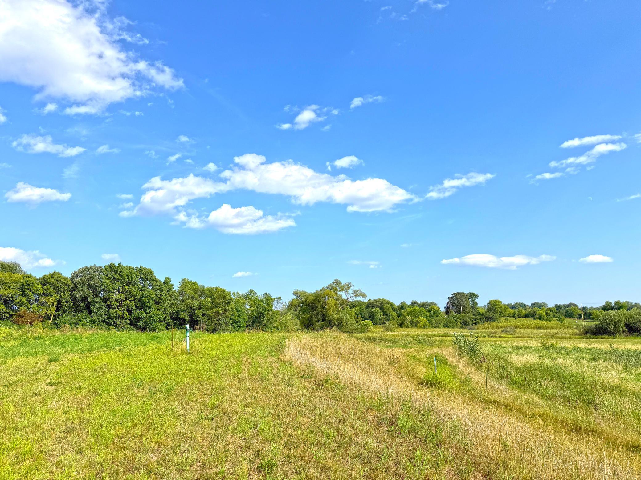 View of Land at 7581 Lake John Drive, Annandale MN 55302, Annandale (19 of 22) - Mike Wilen | Minnesota Team Real Estate