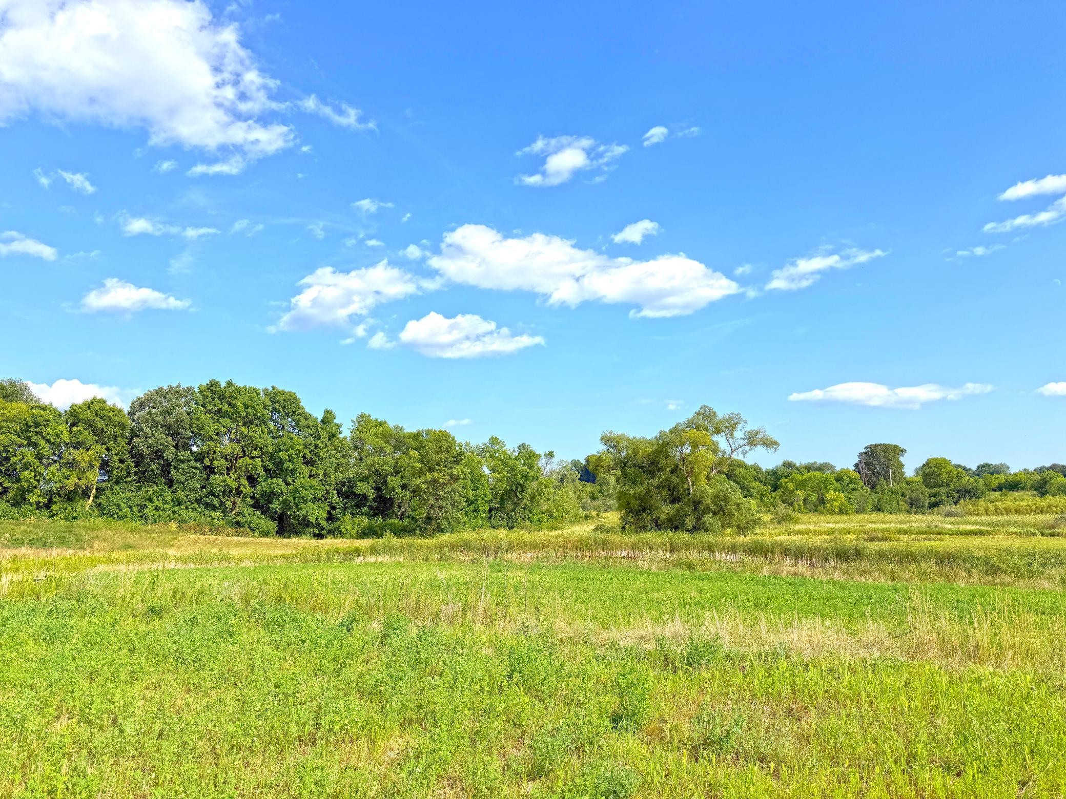 View of Land at 7581 Lake John Drive, Annandale MN 55302, Annandale (18 of 22) - Mike Wilen | Minnesota Team Real Estate