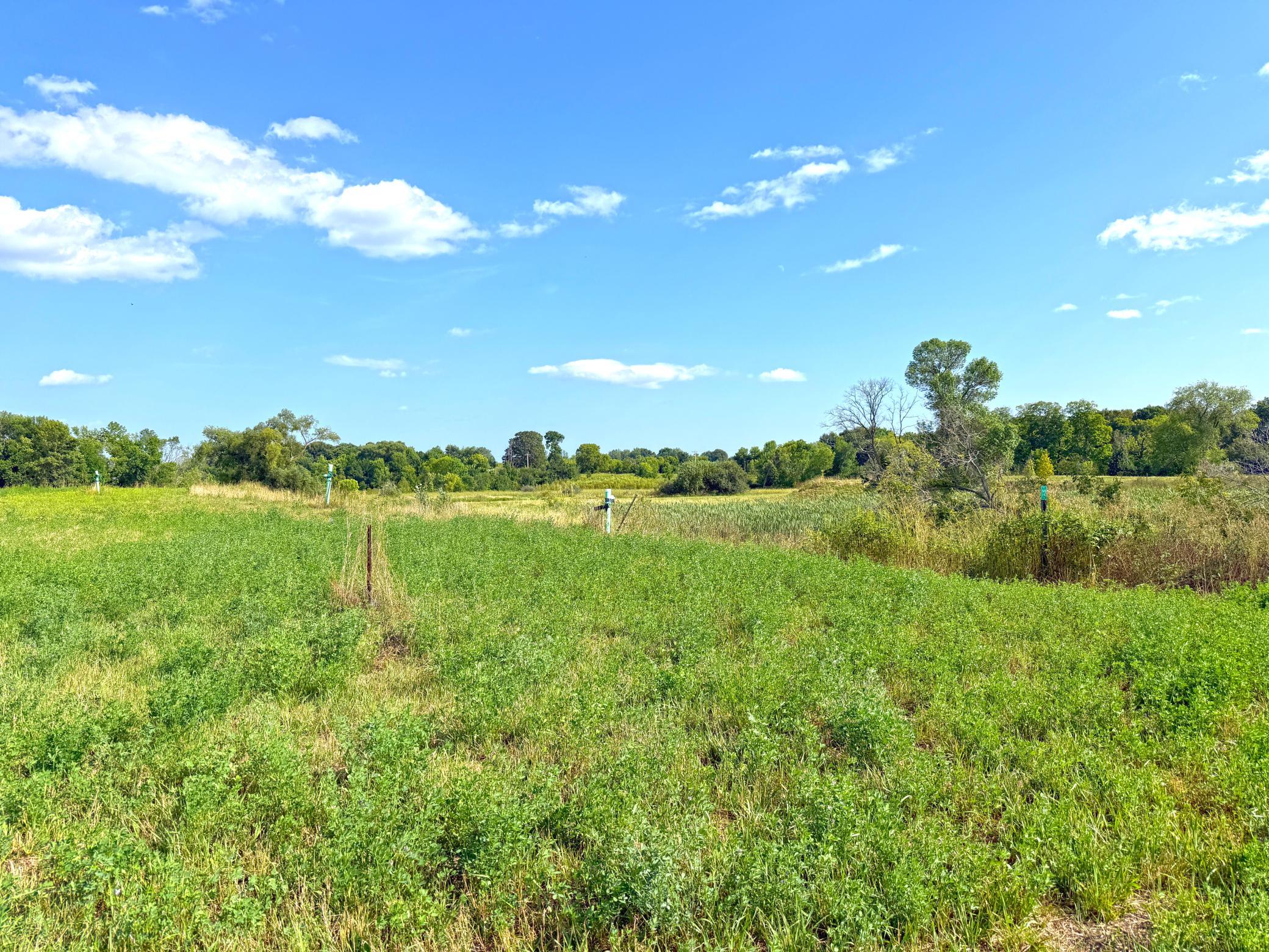View of Land at 7581 Lake John Drive, Annandale MN 55302, Annandale (17 of 22) - Mike Wilen | Minnesota Team Real Estate