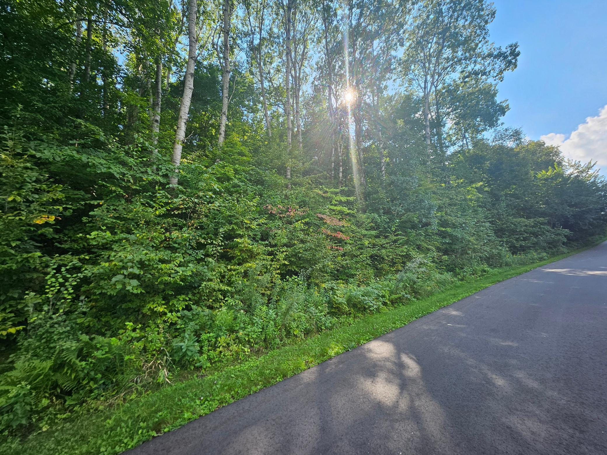 View of Land at TBD 263rd Street, Shafer MN 55074, Shafer (2 of 4) - Mike Wilen | Minnesota Team Real Estate
