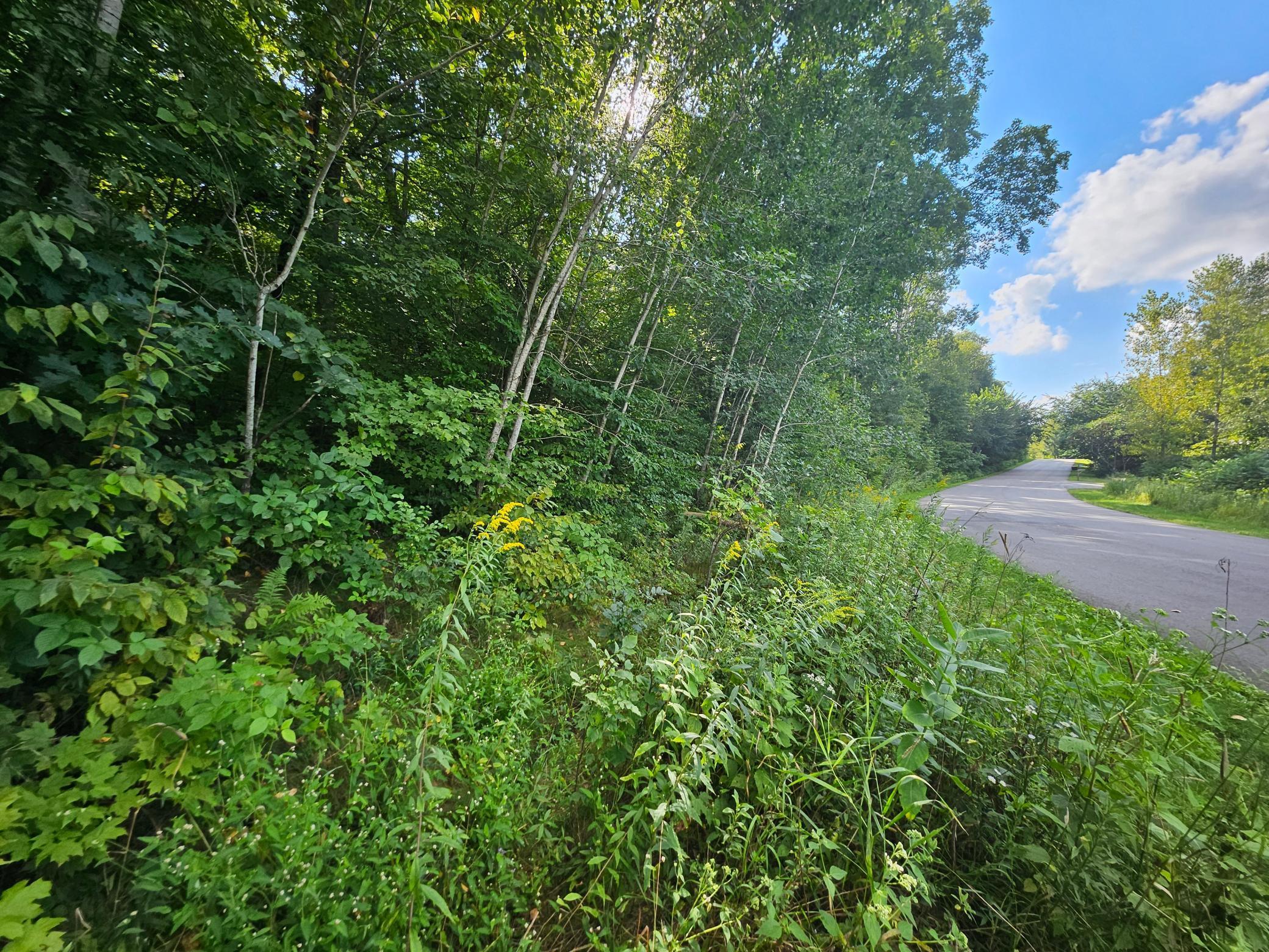 View of Land at TBD 263rd Street, Shafer MN 55074, Shafer (4 of 4) - Mike Wilen | Minnesota Team Real Estate
