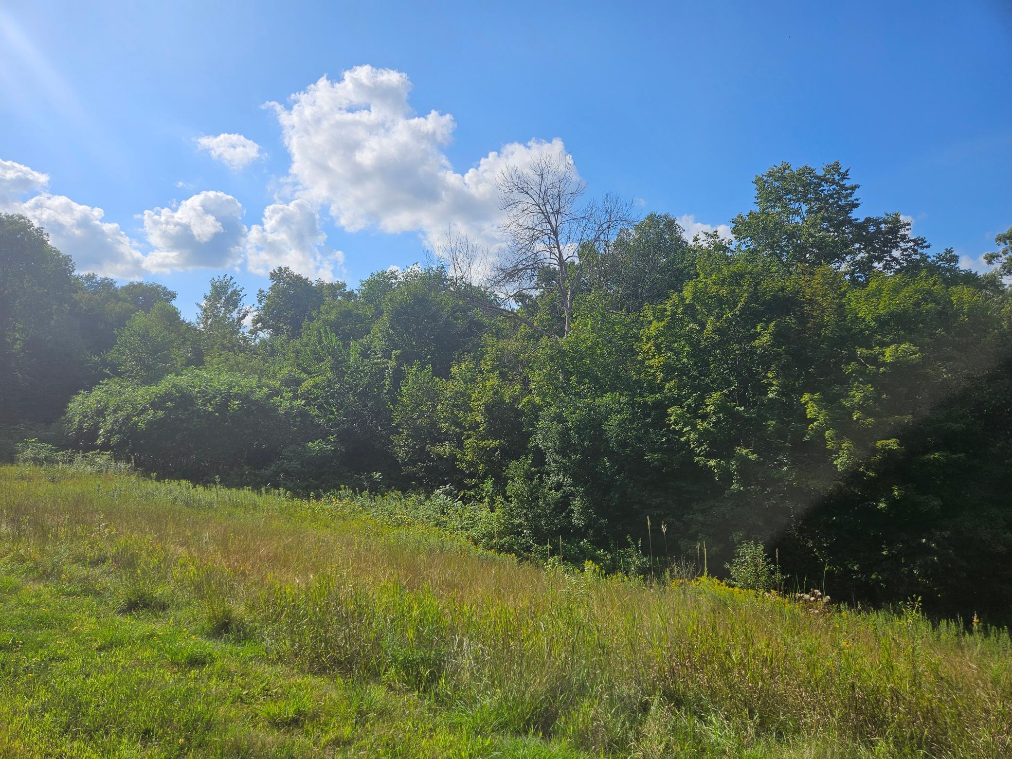 View of Land at xxx 263rd Street, Shafer MN 55074, Shafer (3 of 6) - Mike Wilen | Minnesota Team Real Estate