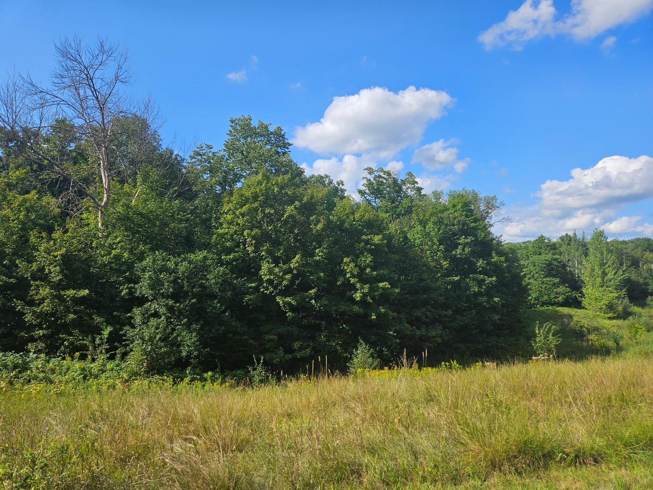 View of Land at xxx 263rd Street, Shafer MN 55074, Shafer (6 of 6) - Mike Wilen | Minnesota Team Real Estate