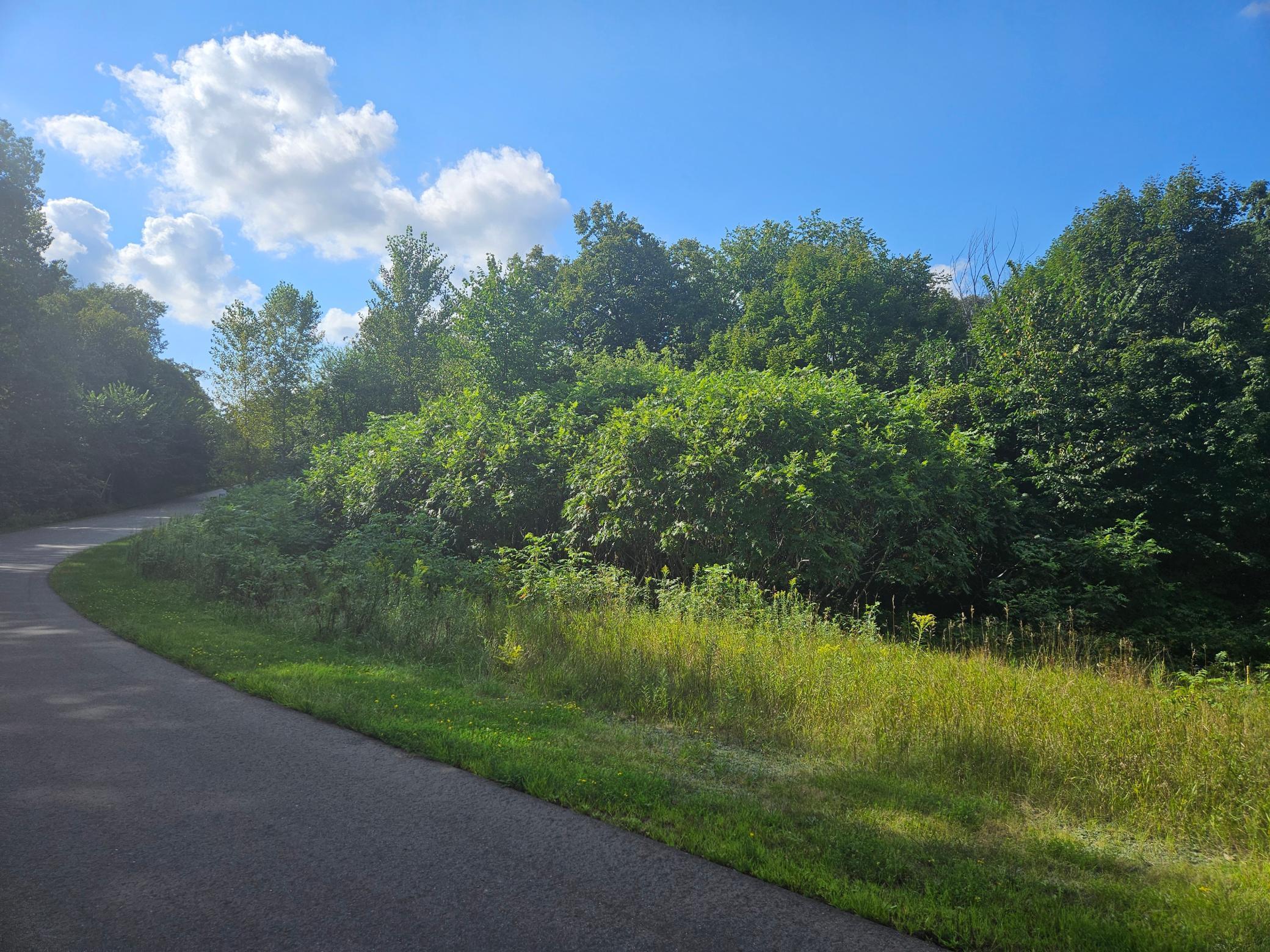 View of Land at xxx 263rd Street, Shafer MN 55074, Shafer (5 of 6) - Mike Wilen | Minnesota Team Real Estate