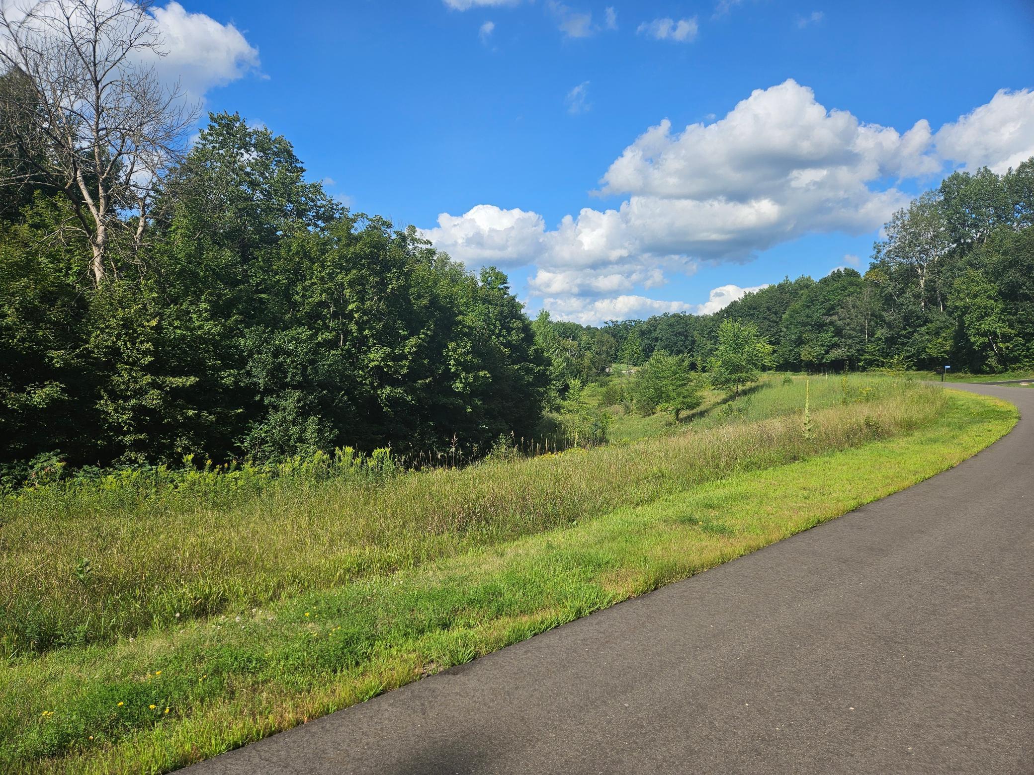 View of Land at xxx 263rd Street, Shafer MN 55074, Shafer (4 of 6) - Mike Wilen | Minnesota Team Real Estate