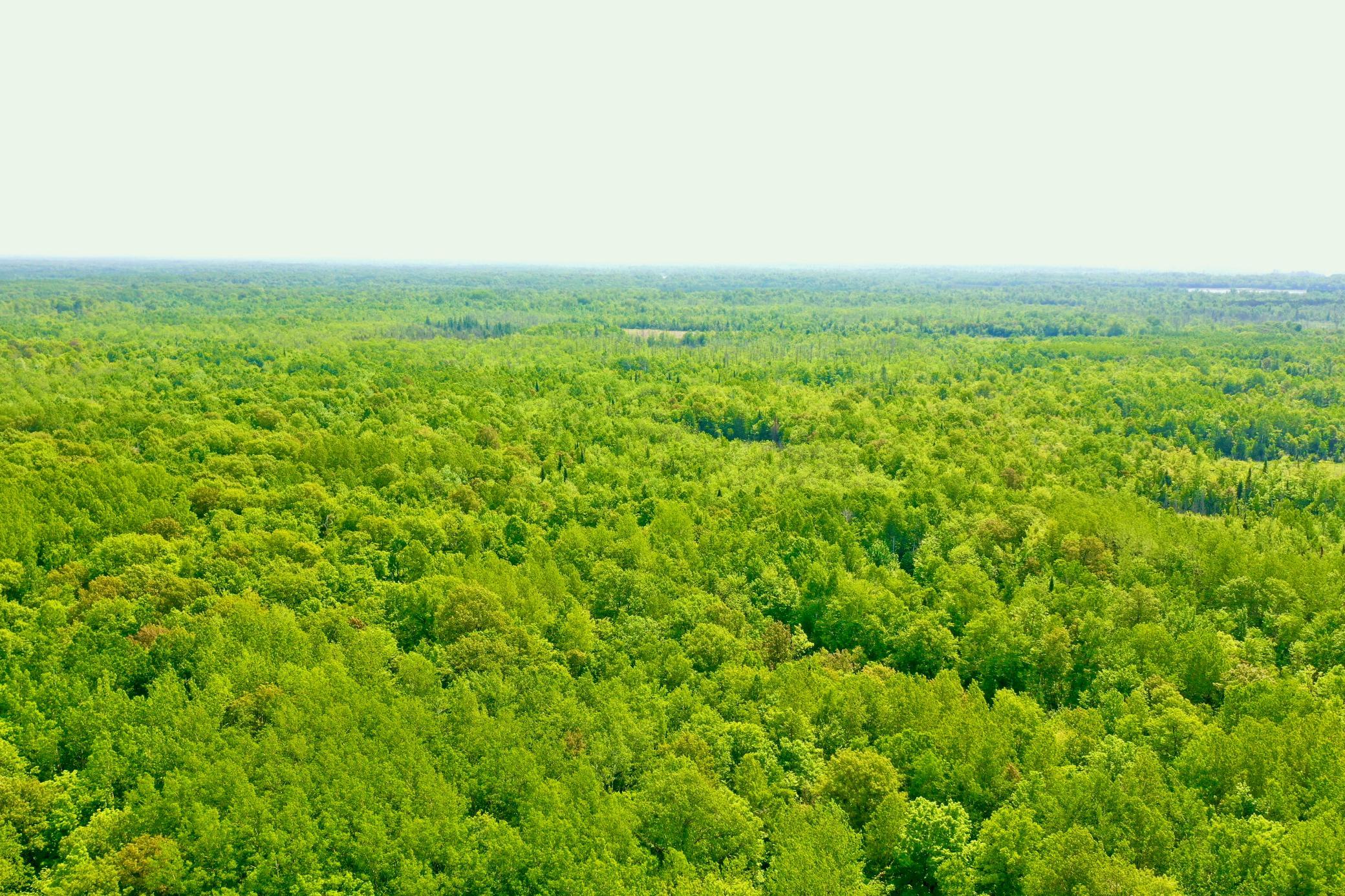 View of Residential at 44384 Grace Lake Road, Hinckley MN 55037, Hinckley (14 of 75) - Mike Wilen | Minnesota Team Real Estate