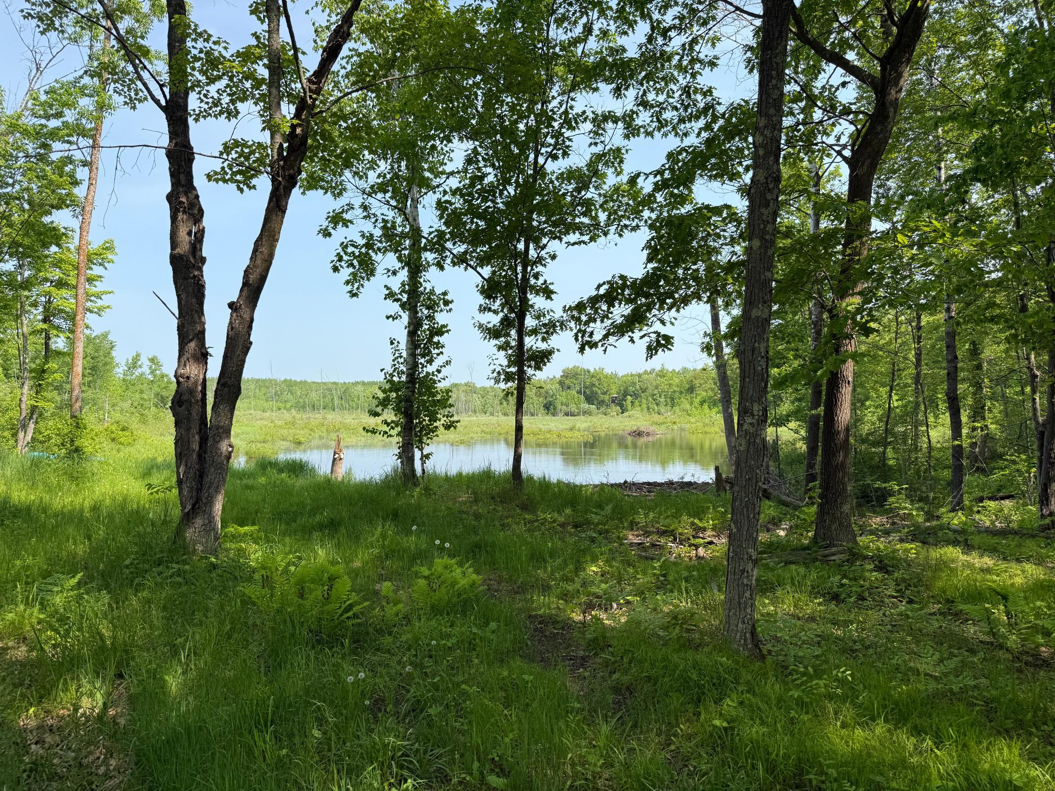 View of Residential at 44384 Grace Lake Road, Hinckley MN 55037, Hinckley (61 of 75) - Mike Wilen | Minnesota Team Real Estate