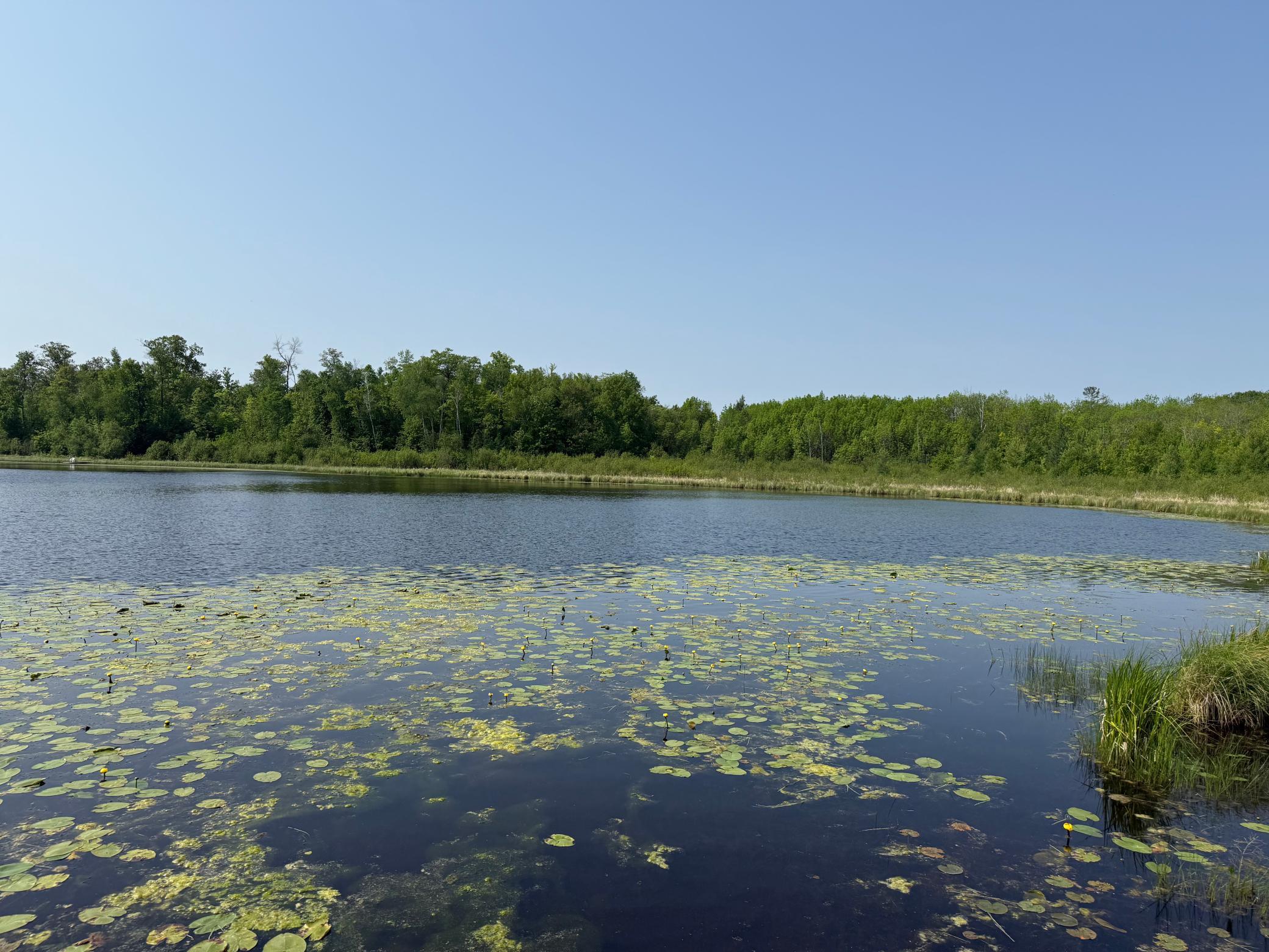 View of Residential at 44384 Grace Lake Road, Hinckley MN 55037, Hinckley (58 of 75) - Mike Wilen | Minnesota Team Real Estate