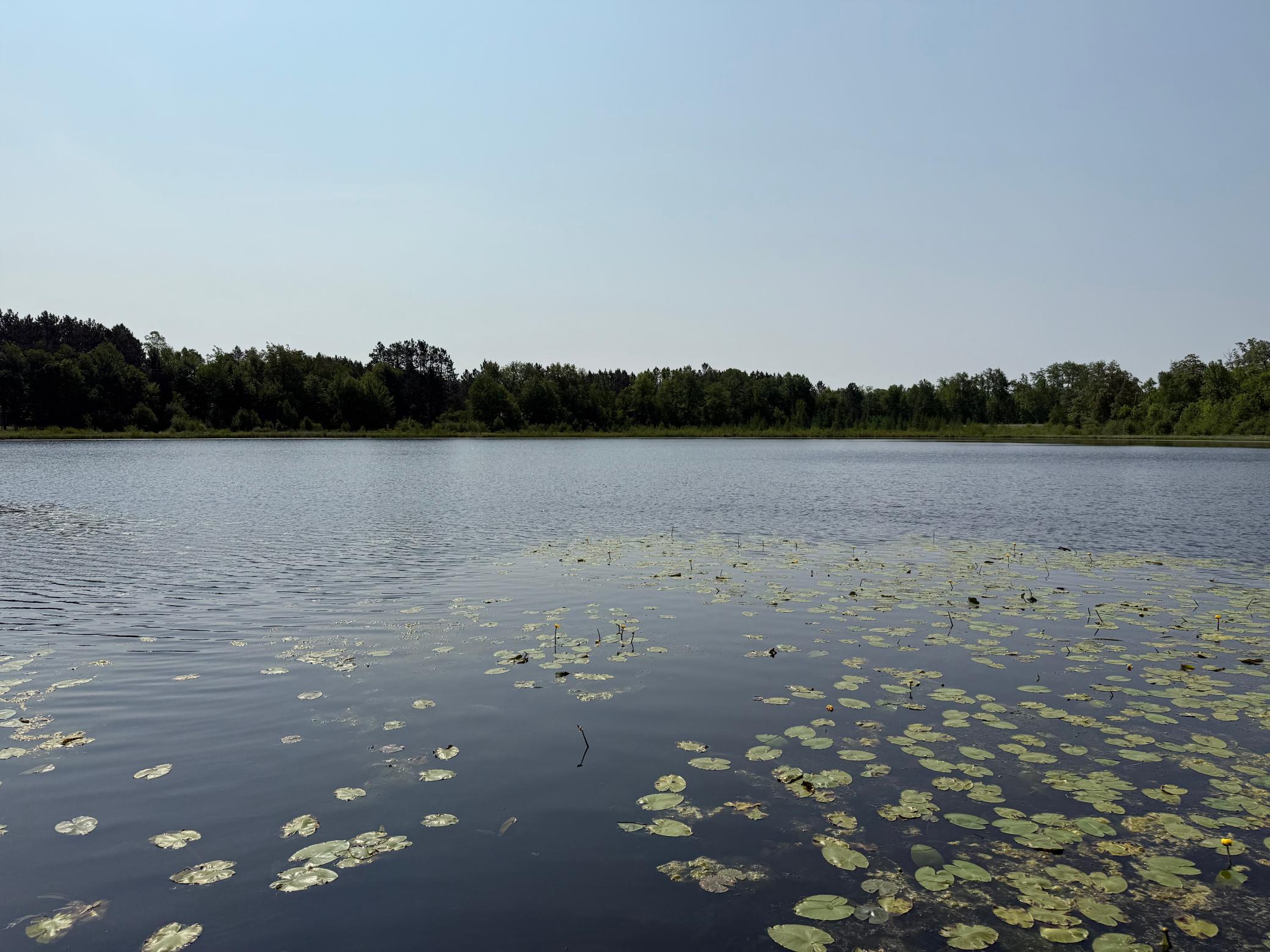 View of Residential at 44384 Grace Lake Road, Hinckley MN 55037, Hinckley (57 of 75) - Mike Wilen | Minnesota Team Real Estate