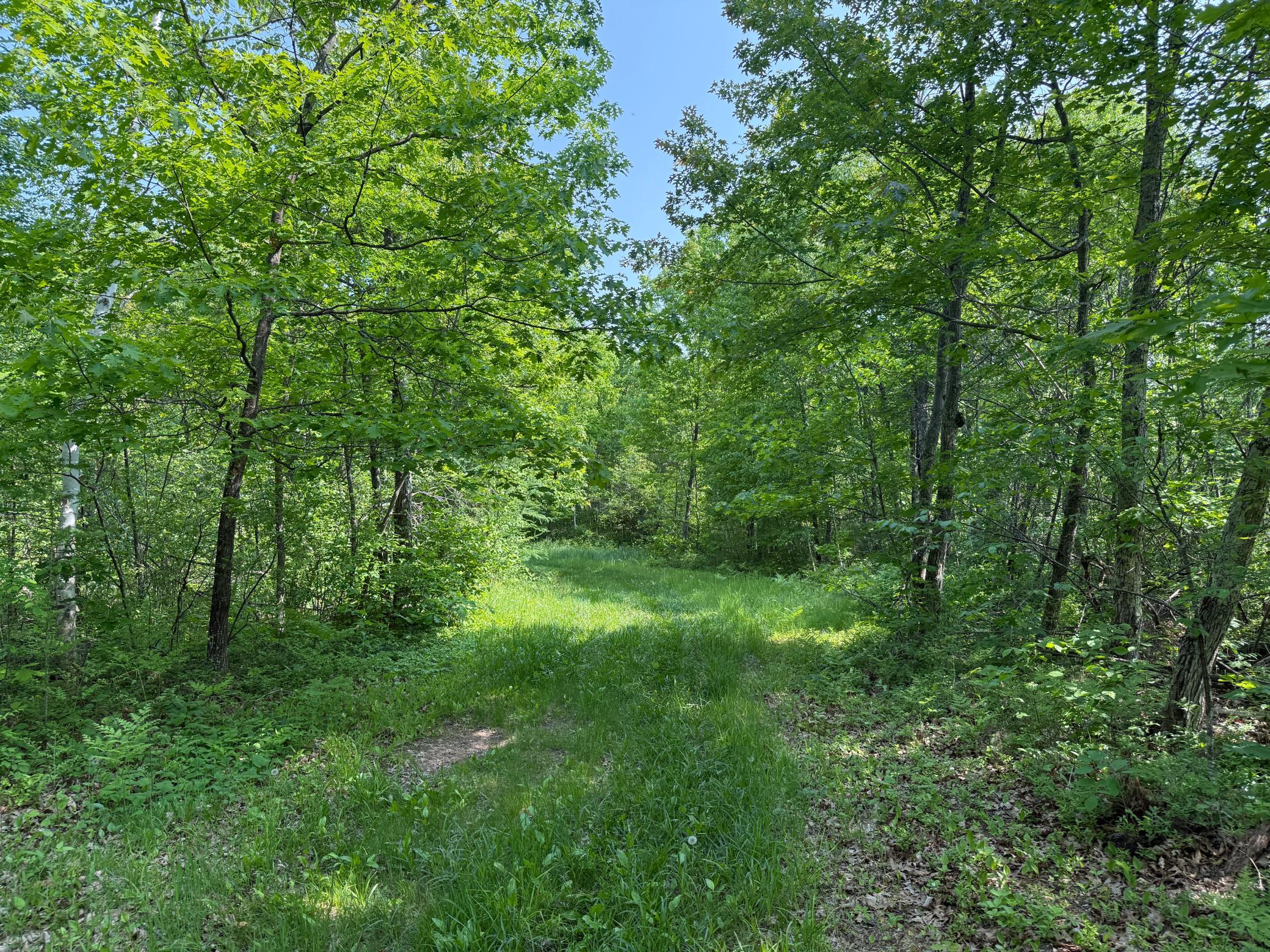 View of Residential at 44384 Grace Lake Road, Hinckley MN 55037, Hinckley (54 of 75) - Mike Wilen | Minnesota Team Real Estate