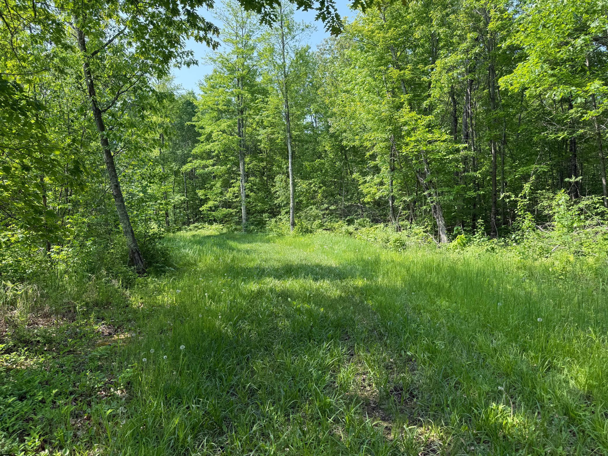 View of Residential at 44384 Grace Lake Road, Hinckley MN 55037, Hinckley (53 of 75) - Mike Wilen | Minnesota Team Real Estate