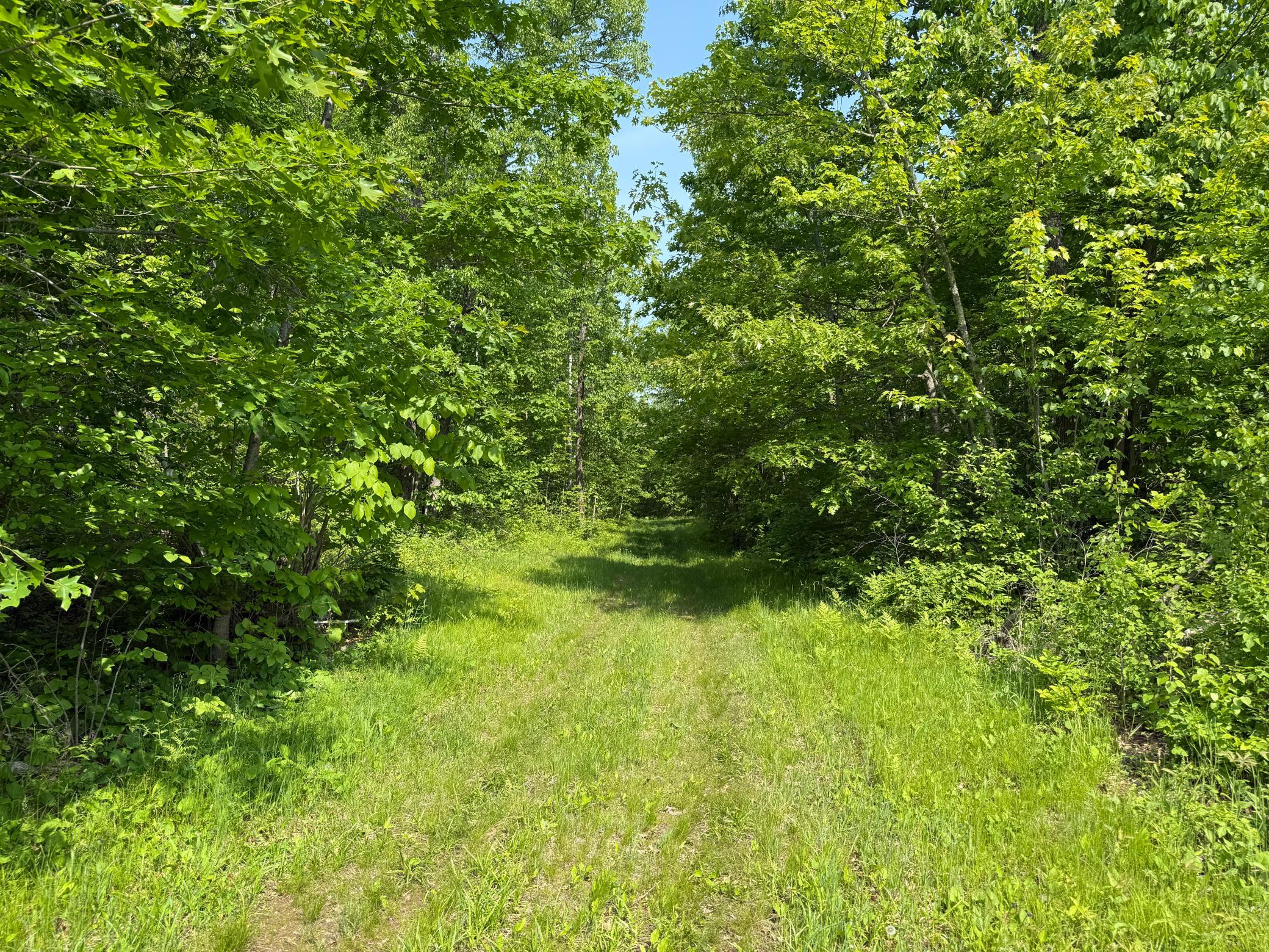 View of Residential at 44384 Grace Lake Road, Hinckley MN 55037, Hinckley (50 of 75) - Mike Wilen | Minnesota Team Real Estate