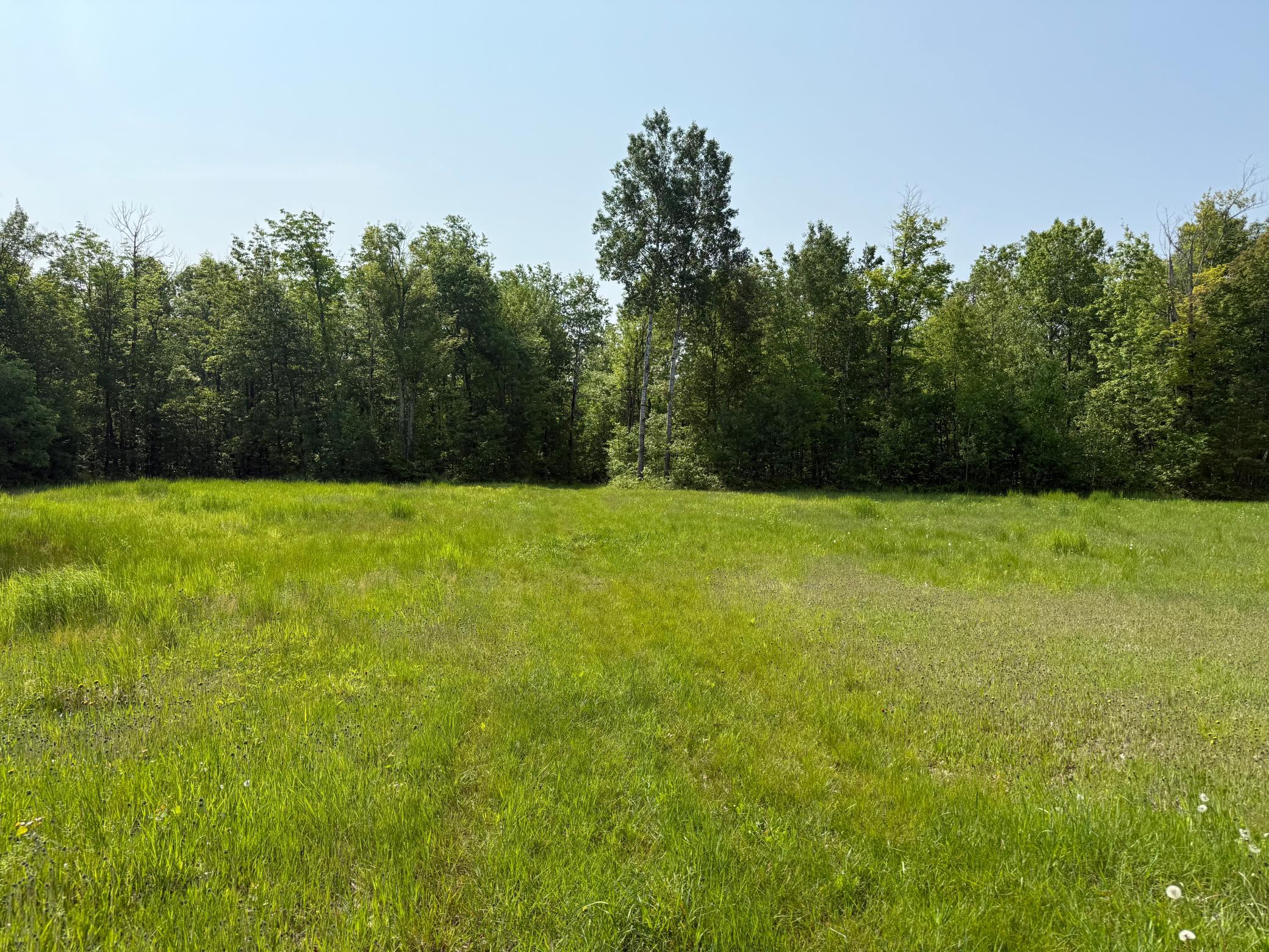 View of Residential at 44384 Grace Lake Road, Hinckley MN 55037, Hinckley (48 of 75) - Mike Wilen | Minnesota Team Real Estate