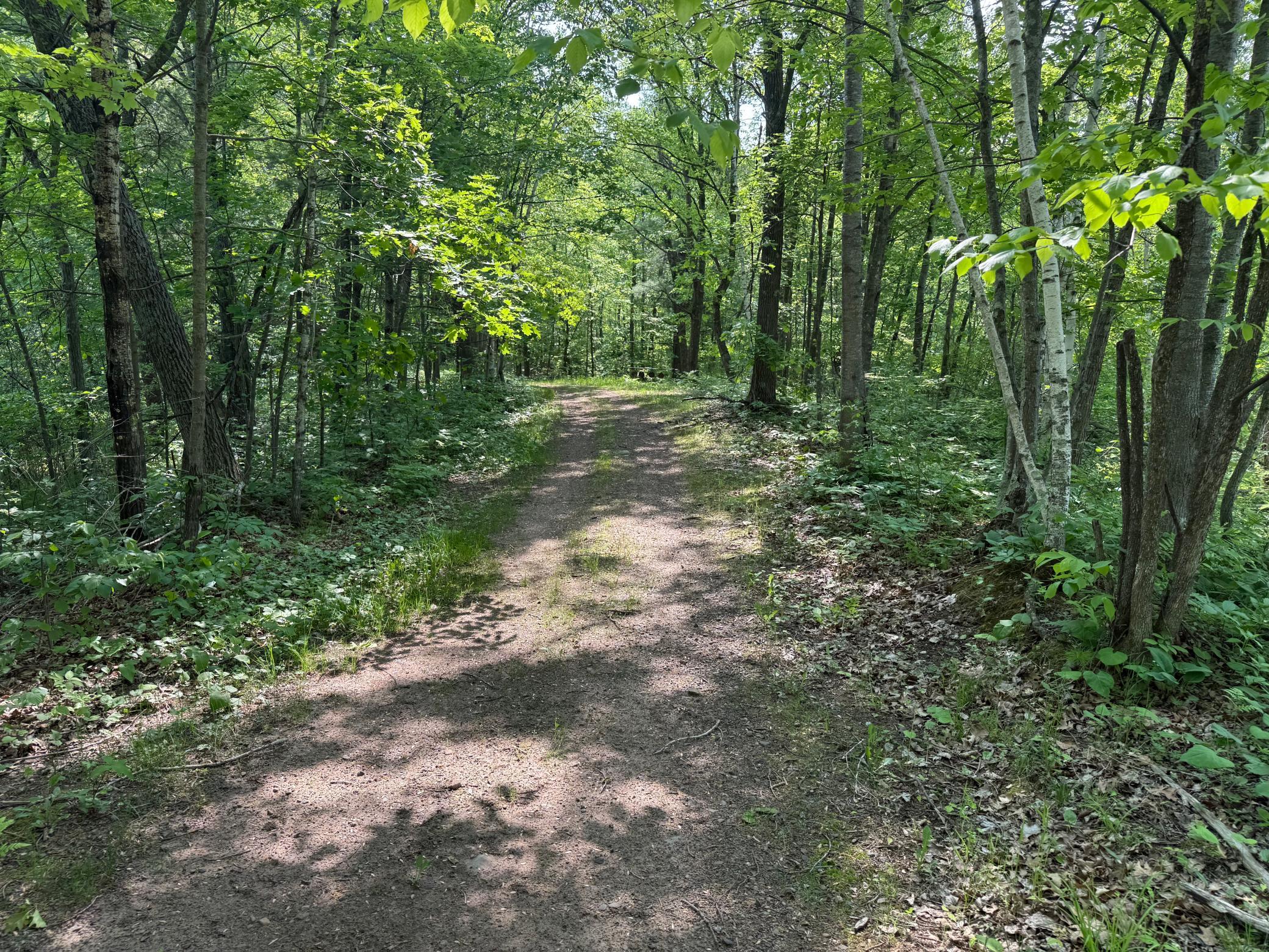 View of Residential at 44384 Grace Lake Road, Hinckley MN 55037, Hinckley (47 of 75) - Mike Wilen | Minnesota Team Real Estate