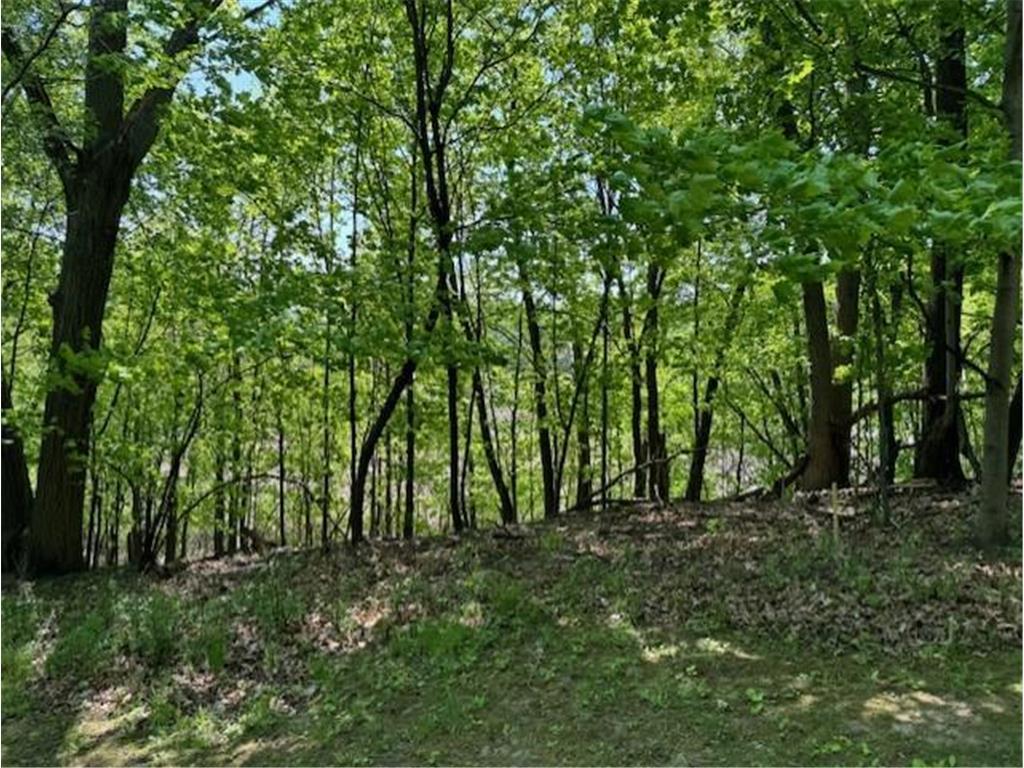 View of Residential at 5123 Waterbury Road, Mound MN 55364, Mound (18 of 21) - Mike Wilen | Minnesota Team Real Estate