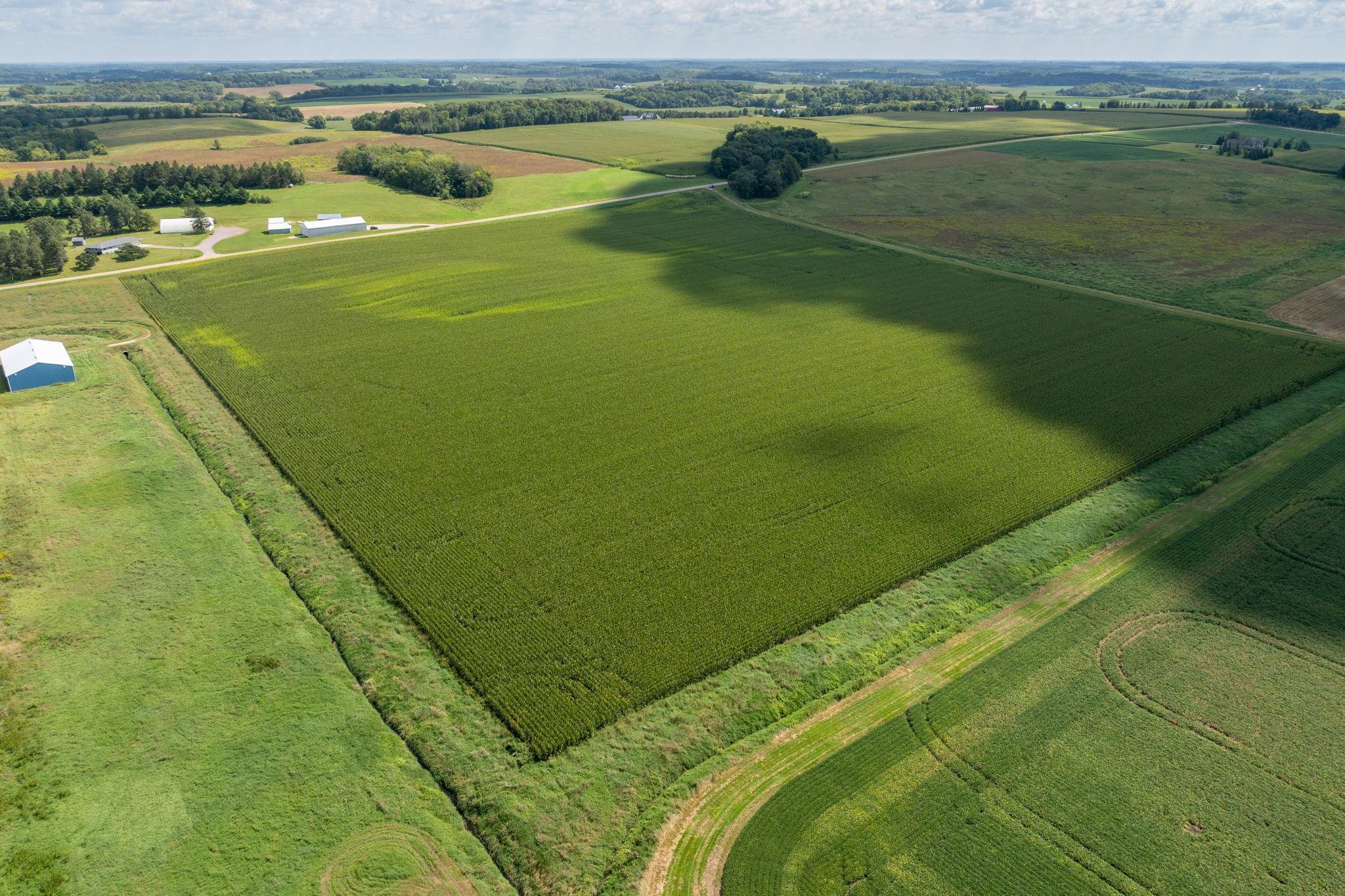 View of Land at XXX 141st Avenue, Montgomery MN 56069, Montgomery - Mike Wilen | Minnesota Team Real Estate