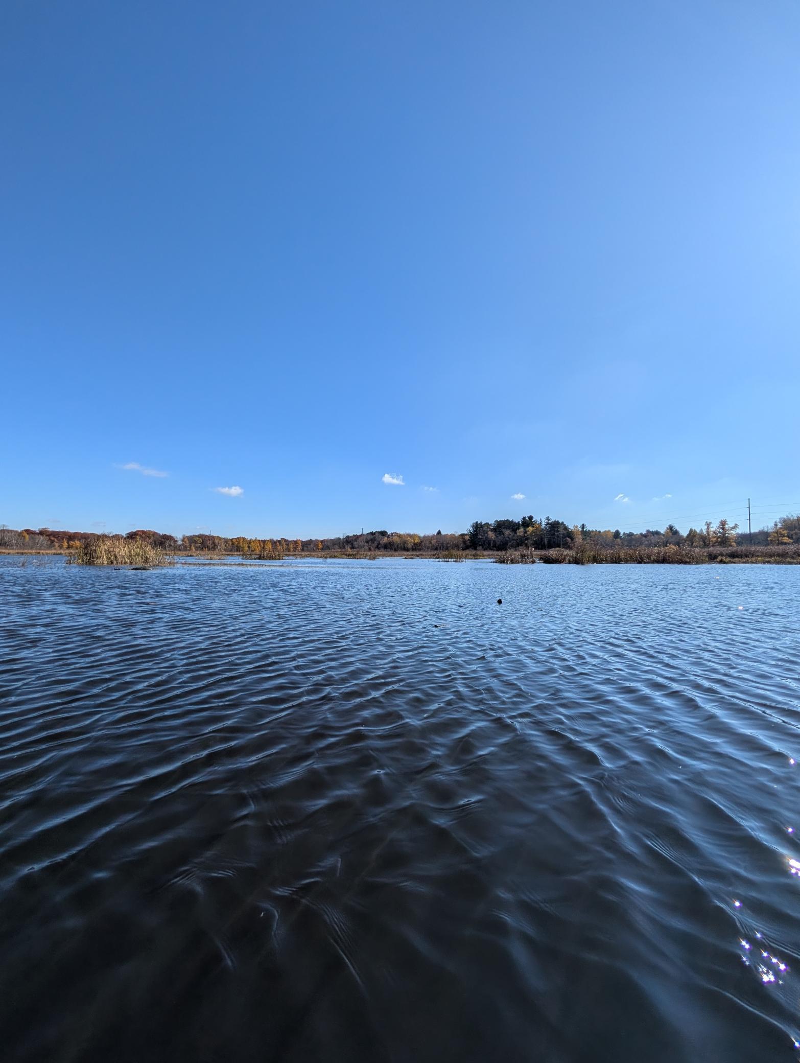 View of Residential at 17265 Ward Lake Drive, Andover MN 55304, Andover (85 of 90) - Mike Wilen | Minnesota Team Real Estate