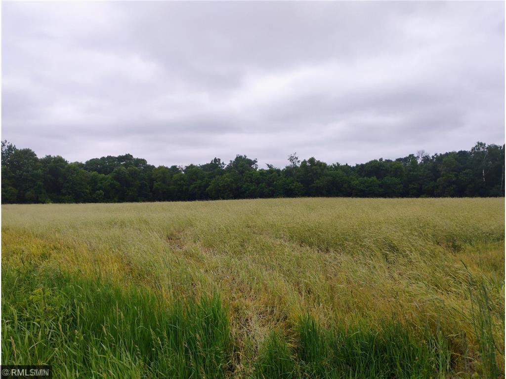 View of Land at 6XXX County Road 6 NW, Princeton MN 55371, Princeton - Mike Wilen | Minnesota Team Real Estate