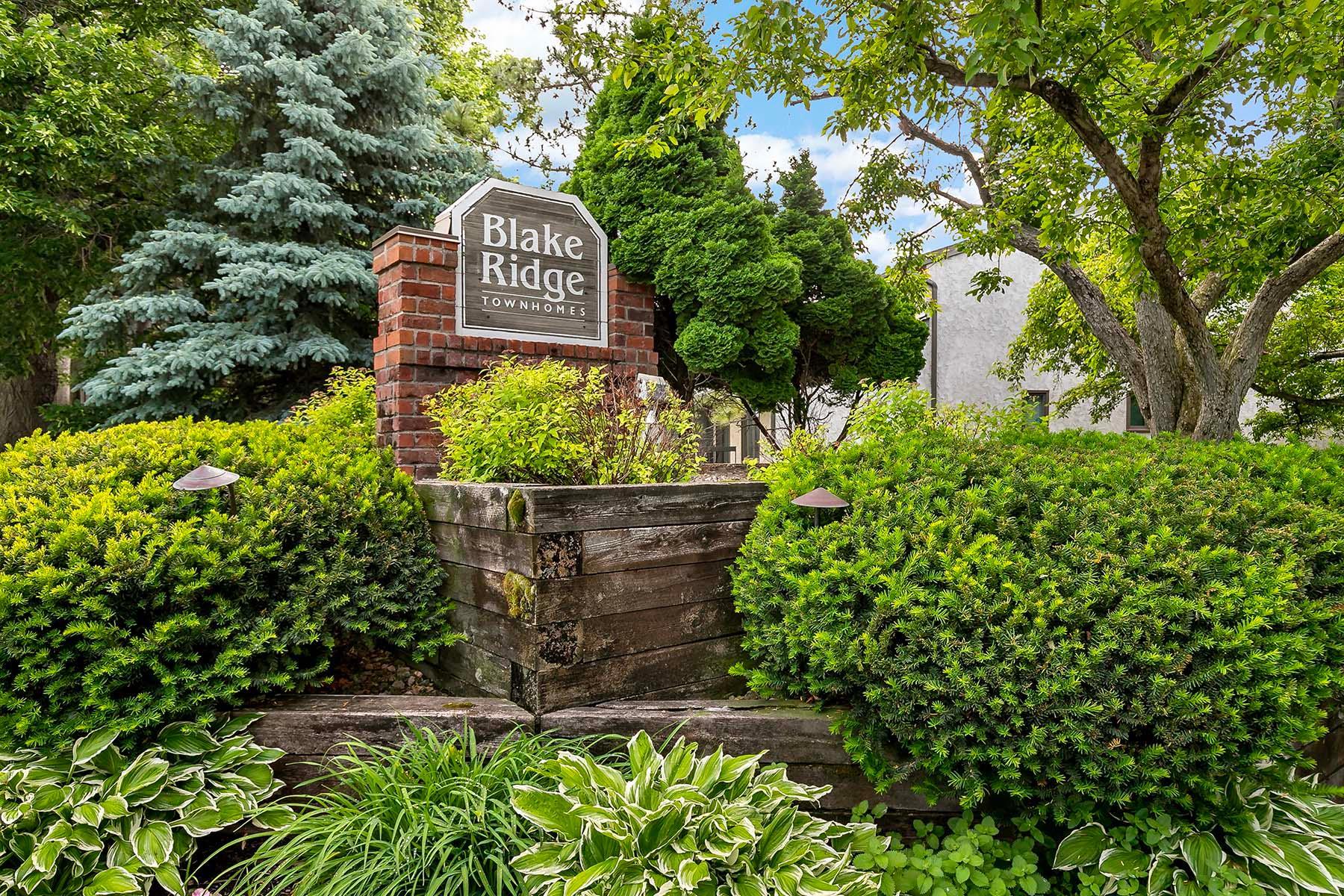 View of Residential at 6104 Blake Ridge Road, Edina MN 55436, Edina - Mike Wilen | Minnesota Team Real Estate