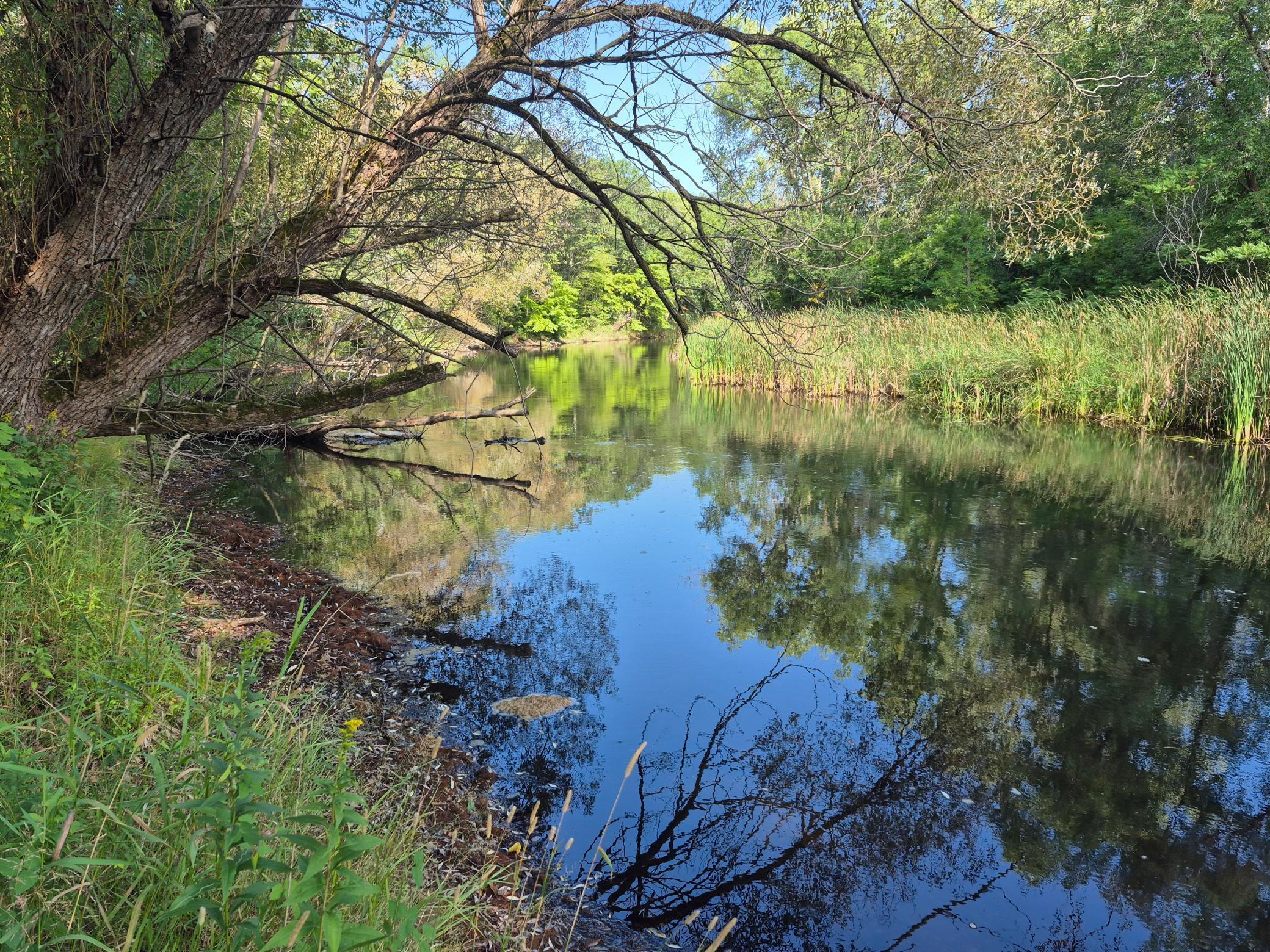View of Land at XXX State Hwy 169, Onamia MN 56359, Onamia - Mike Wilen | Minnesota Team Real Estate
