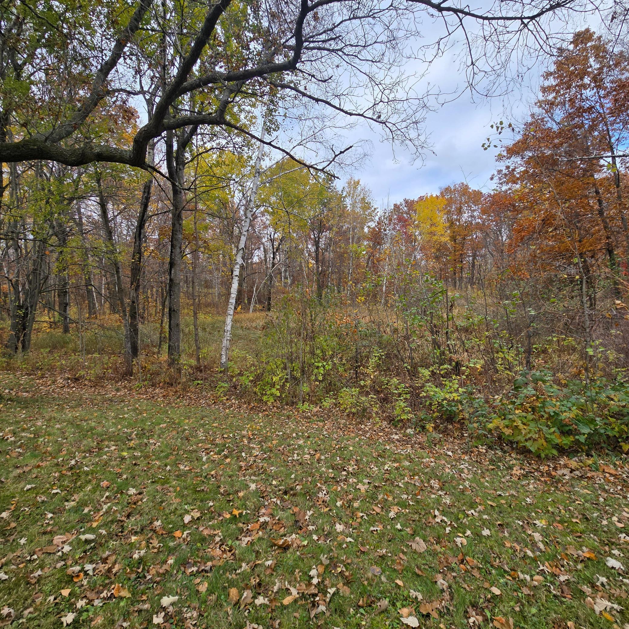 View of Residential at 47802 Xylophone Road, Garrison MN 56450, Garrison (36 of 36) - Mike Wilen | Minnesota Team Real Estate