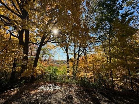 View of Residential at 5129 Waterbury Road, Mound MN 55364, Mound (9 of 12) - Mike Wilen | Minnesota Team Real Estate