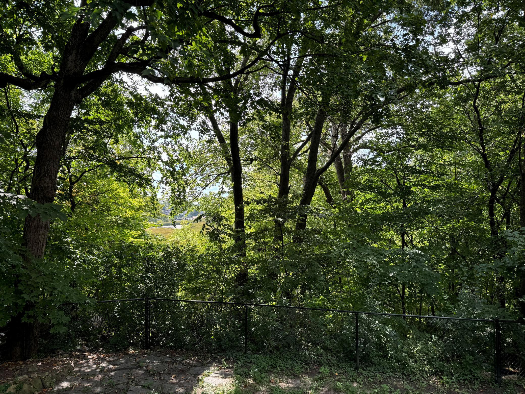 View of Residential at 5129 Waterbury Road, Mound MN 55364, Mound (6 of 12) - Mike Wilen | Minnesota Team Real Estate