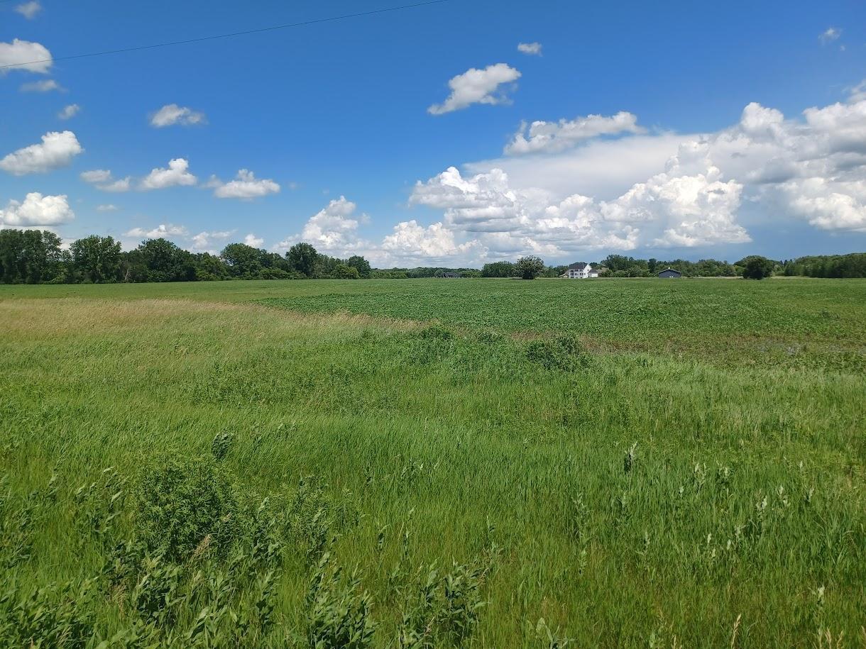View of Land at 129xx Jody Ave, Hugo MN 55038, Hugo - Mike Wilen | Minnesota Team Real Estate