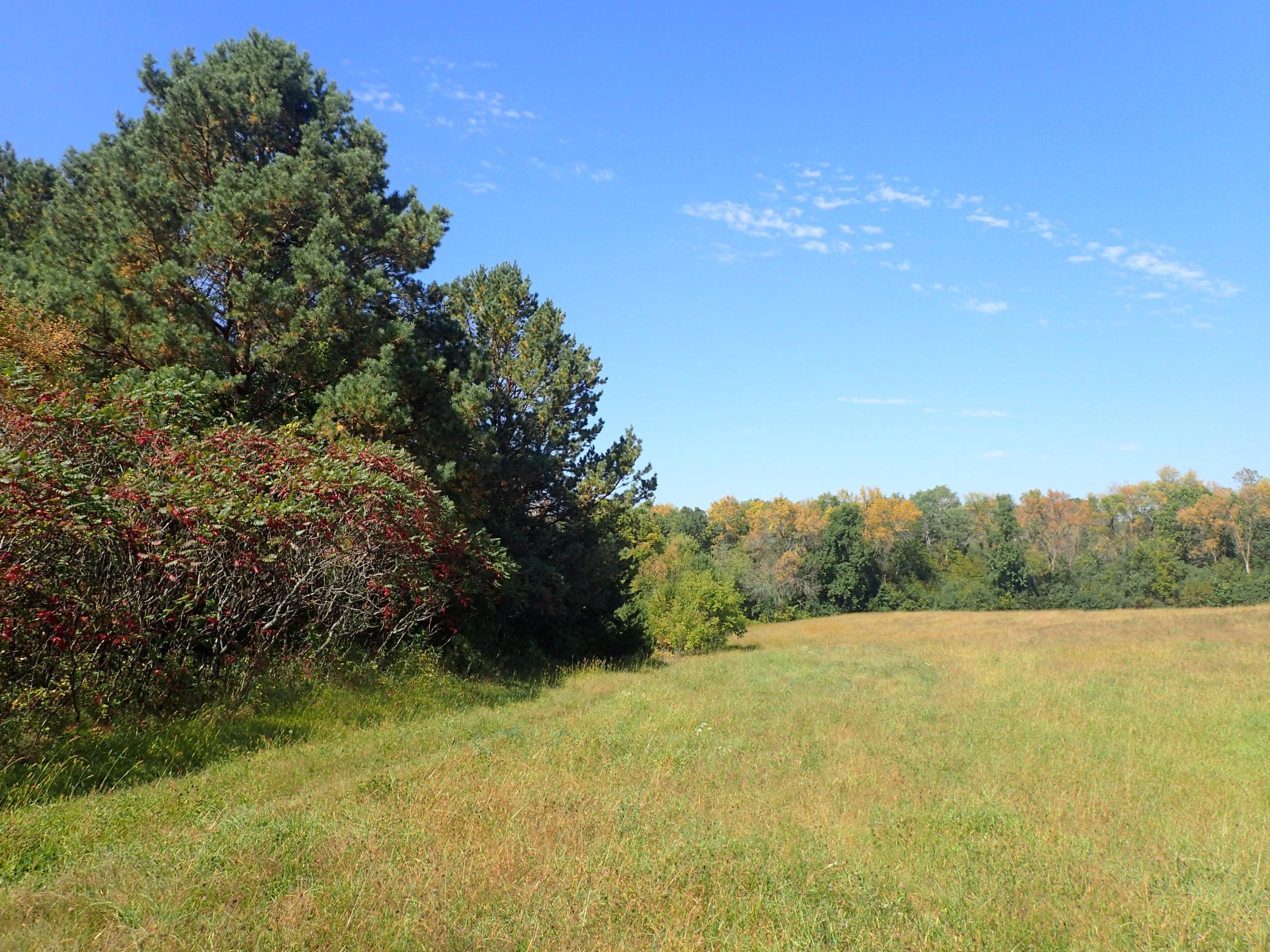 View of Land at TBD8.5 County Road 106, Monticello MN 55362, Monticello (12 of 33) - Mike Wilen | Minnesota Team Real Estate