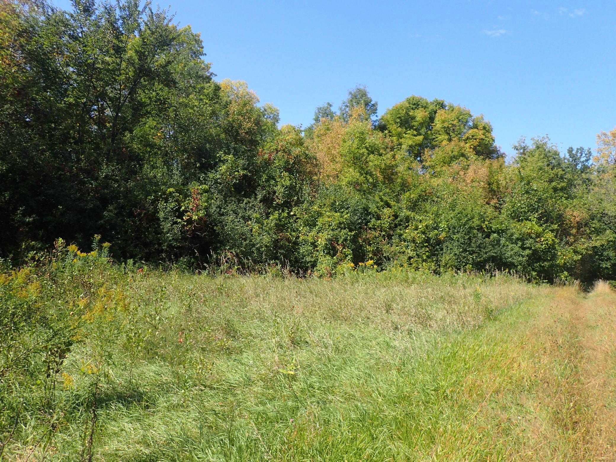 View of Land at TBD8.5 County Road 106, Monticello MN 55362, Monticello (5 of 33) - Mike Wilen | Minnesota Team Real Estate