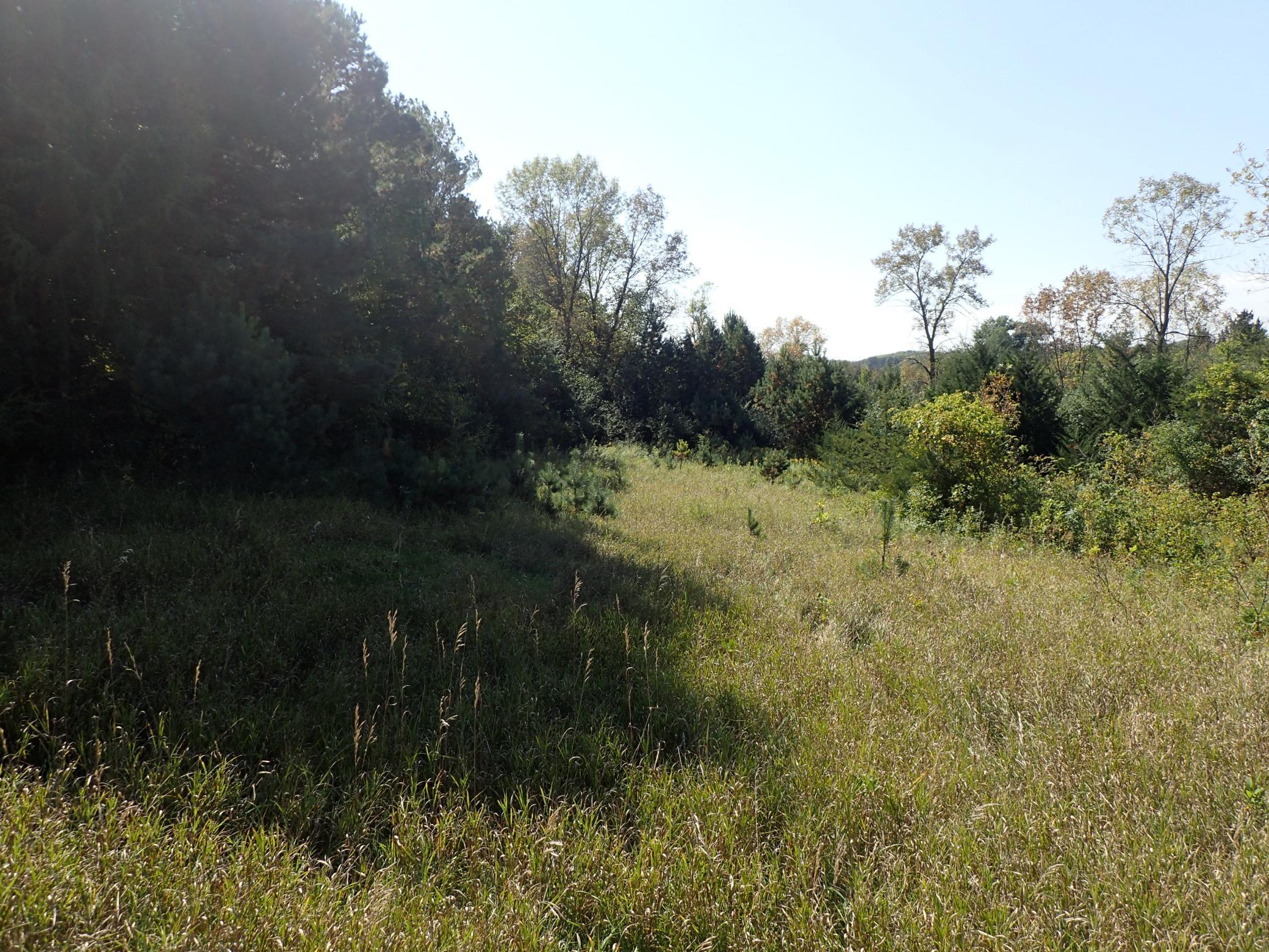 View of Land at TBD8.5 County Road 106, Monticello MN 55362, Monticello (15 of 33) - Mike Wilen | Minnesota Team Real Estate