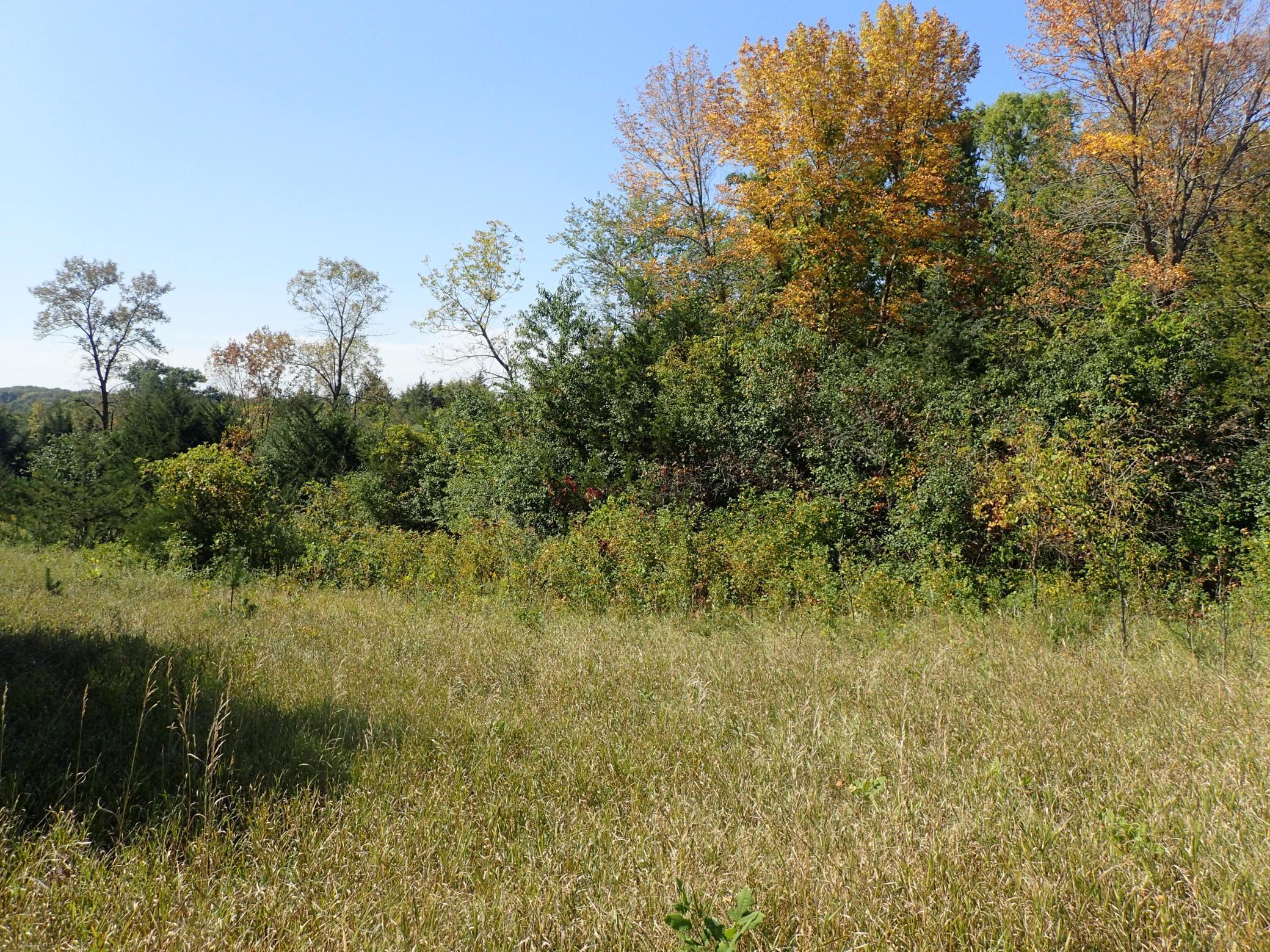 View of Land at TBD8.5 County Road 106, Monticello MN 55362, Monticello (14 of 33) - Mike Wilen | Minnesota Team Real Estate