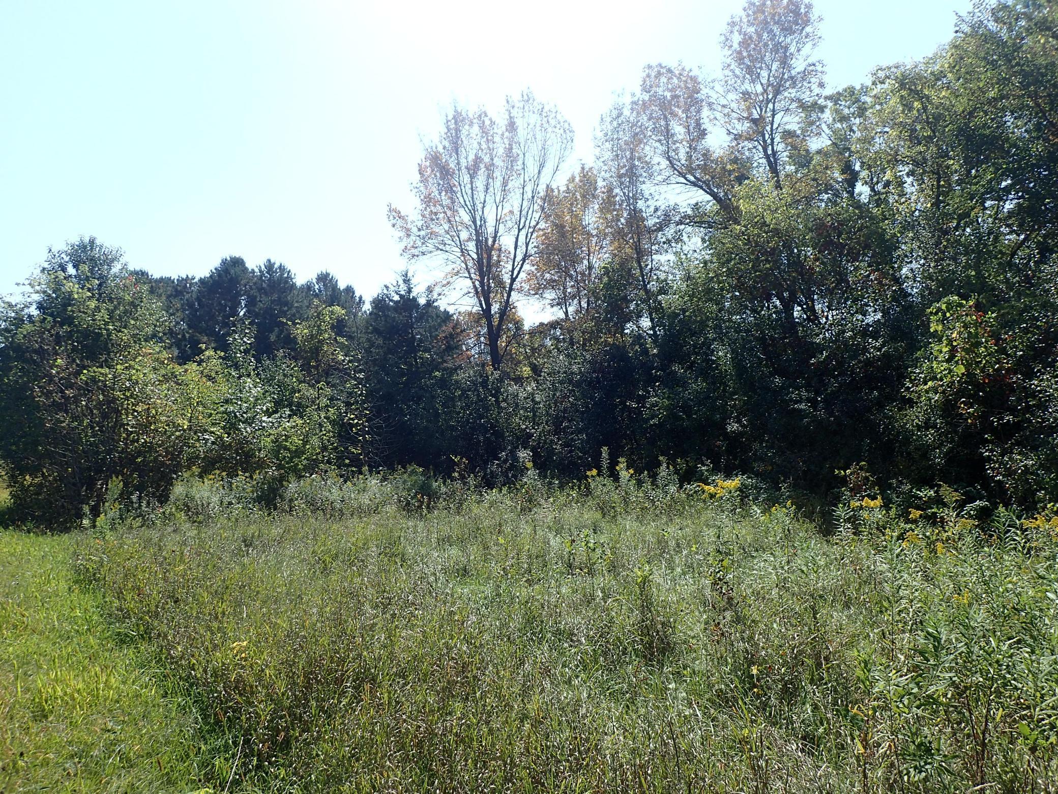View of Land at TBD8.5 County Road 106, Monticello MN 55362, Monticello (16 of 33) - Mike Wilen | Minnesota Team Real Estate