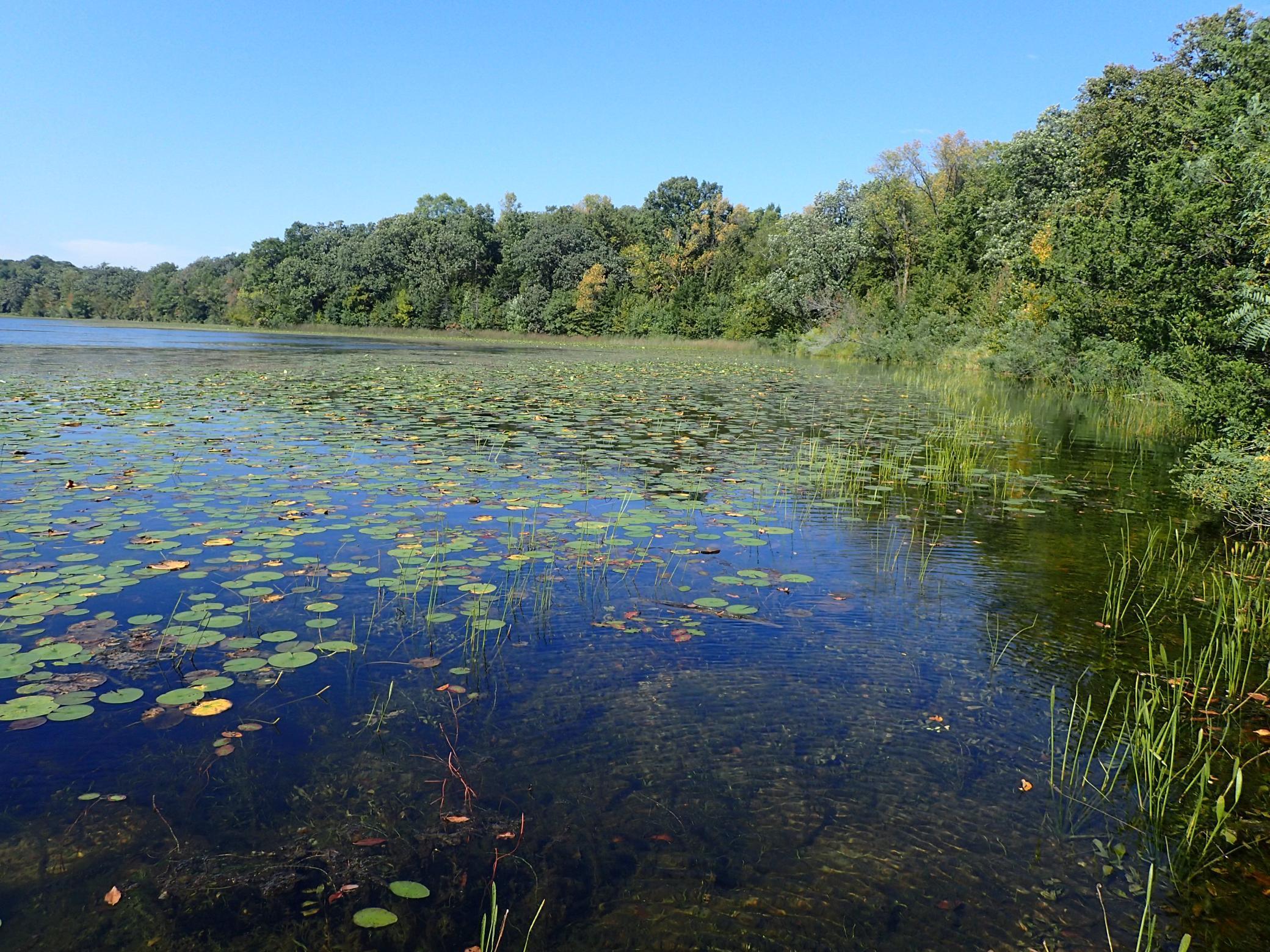 View of Land at TBD8.5 County Road 106, Monticello MN 55362, Monticello (20 of 33) - Mike Wilen | Minnesota Team Real Estate
