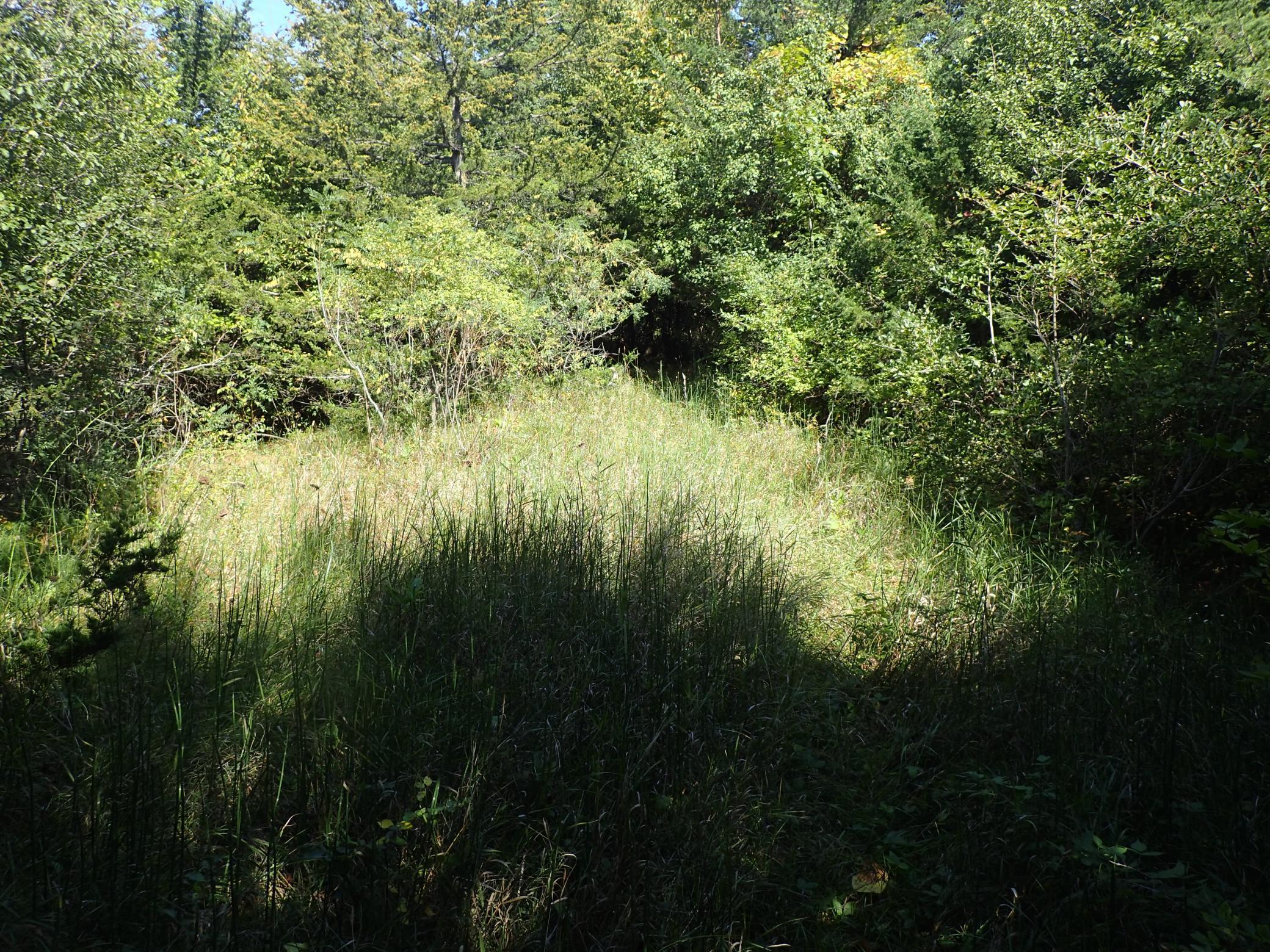 View of Land at TBD8.5 County Road 106, Monticello MN 55362, Monticello (27 of 33) - Mike Wilen | Minnesota Team Real Estate