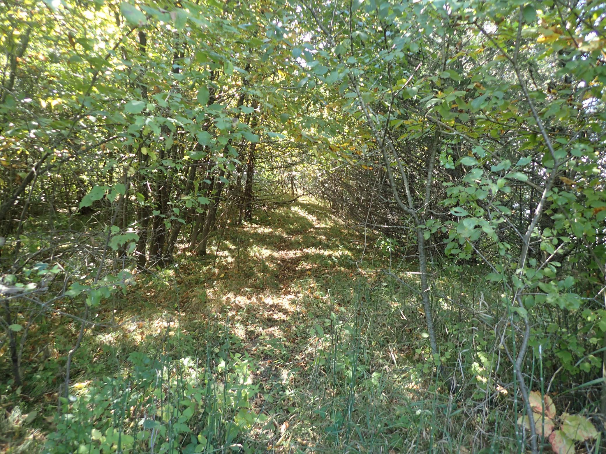 View of Land at TBD8.5 County Road 106, Monticello MN 55362, Monticello (26 of 33) - Mike Wilen | Minnesota Team Real Estate