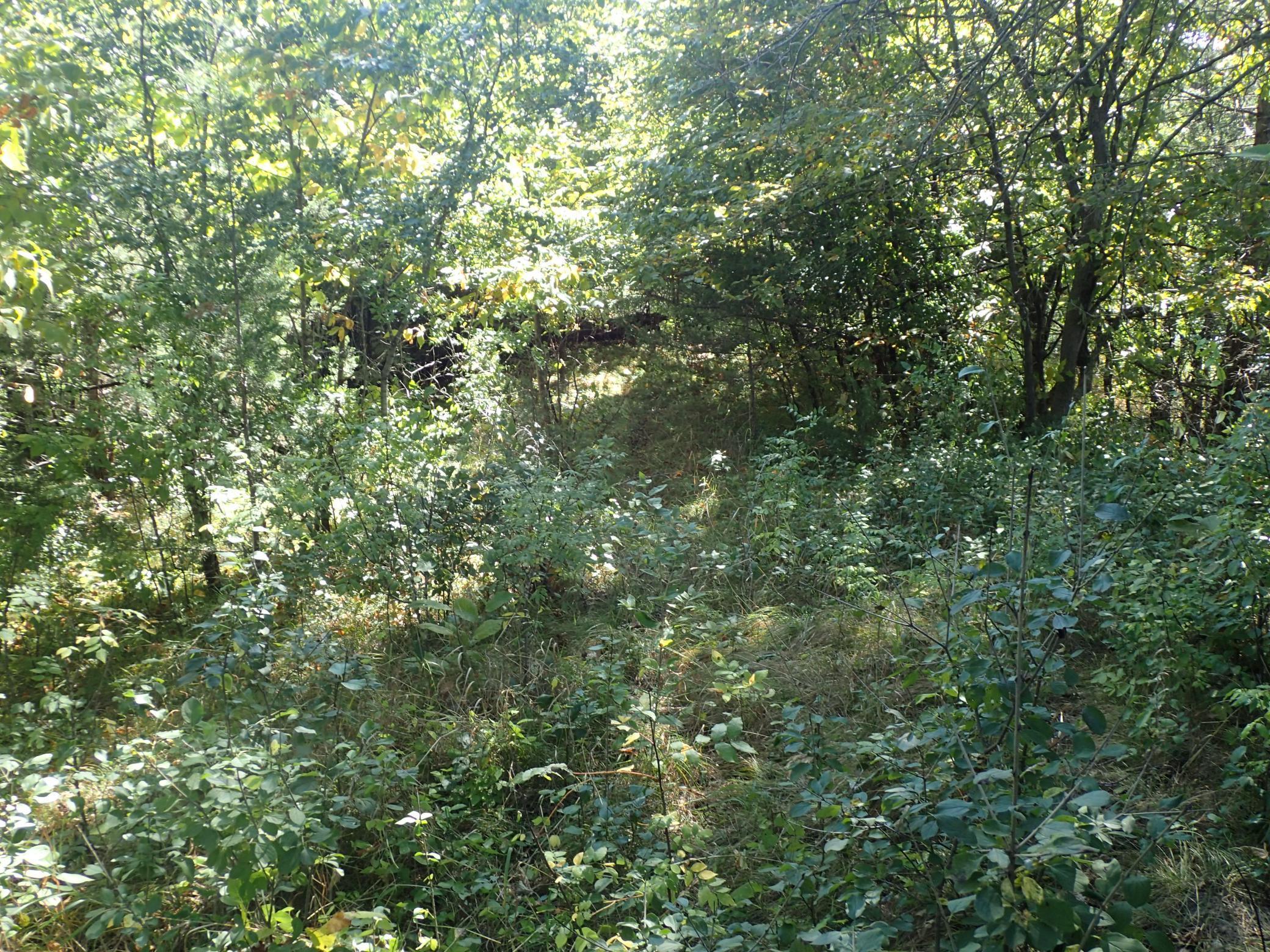 View of Land at TBD8.5 County Road 106, Monticello MN 55362, Monticello (28 of 33) - Mike Wilen | Minnesota Team Real Estate