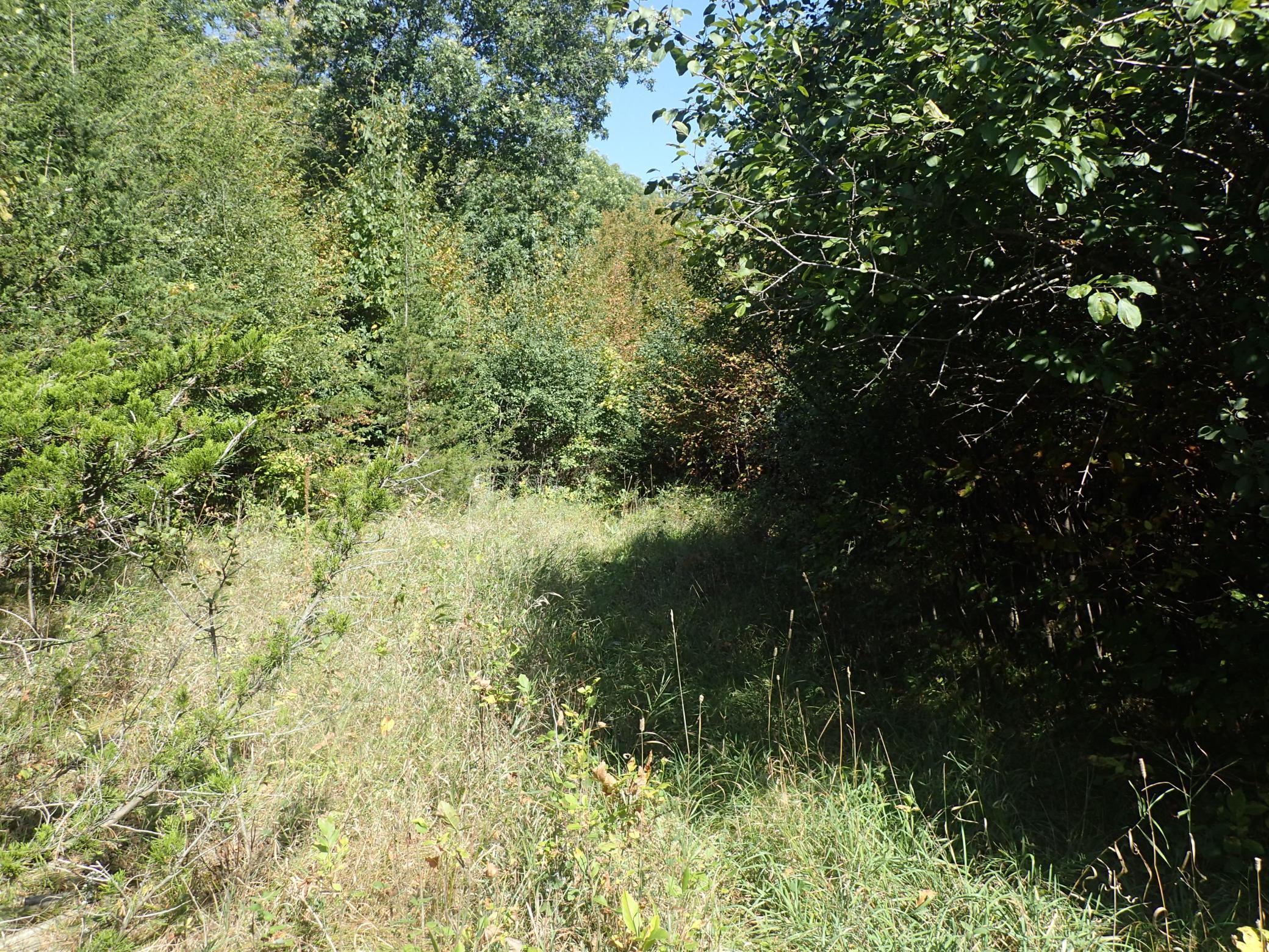 View of Land at TBD8.5 County Road 106, Monticello MN 55362, Monticello (32 of 33) - Mike Wilen | Minnesota Team Real Estate