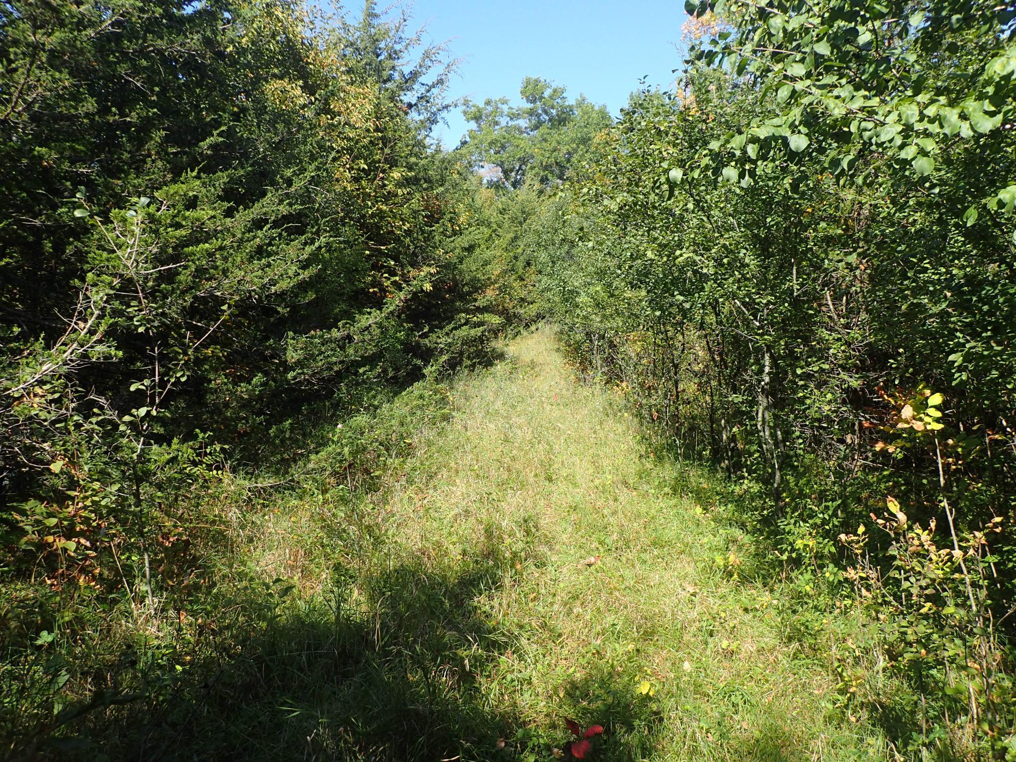 View of Land at TBD8.5 County Road 106, Monticello MN 55362, Monticello (31 of 33) - Mike Wilen | Minnesota Team Real Estate