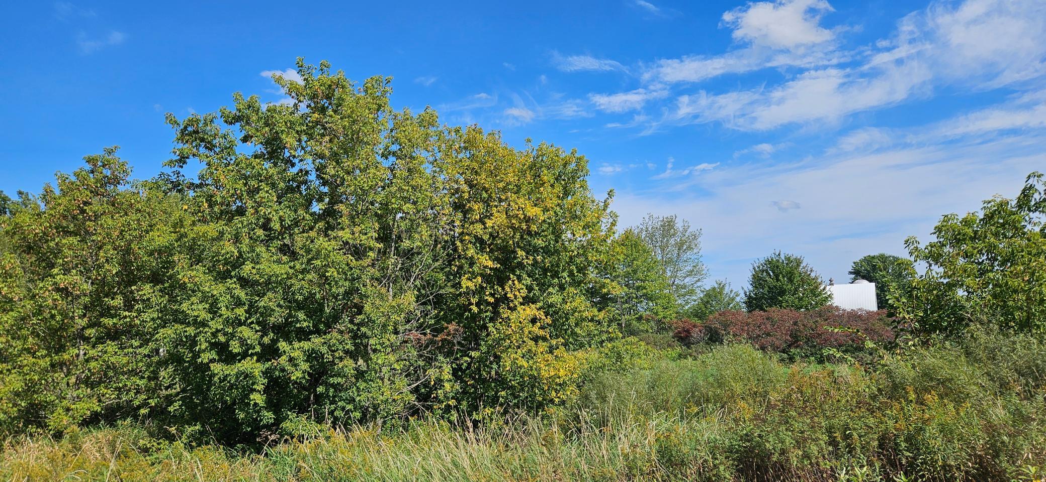 View of Land at XXXX Hwy 70, Rock Creek MN 55063, Rock Creek (11 of 17) - Mike Wilen | Minnesota Team Real Estate